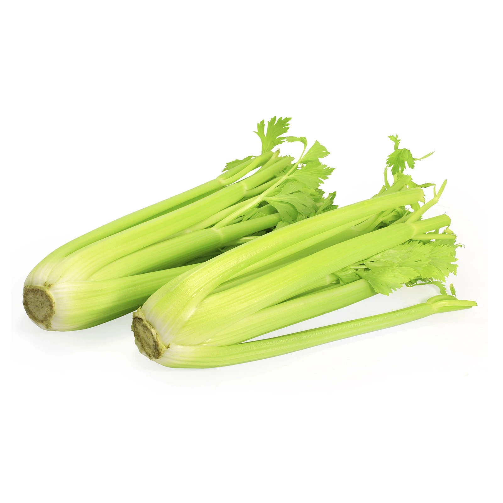 Селера Стебло (Імпорт) Фото №:1