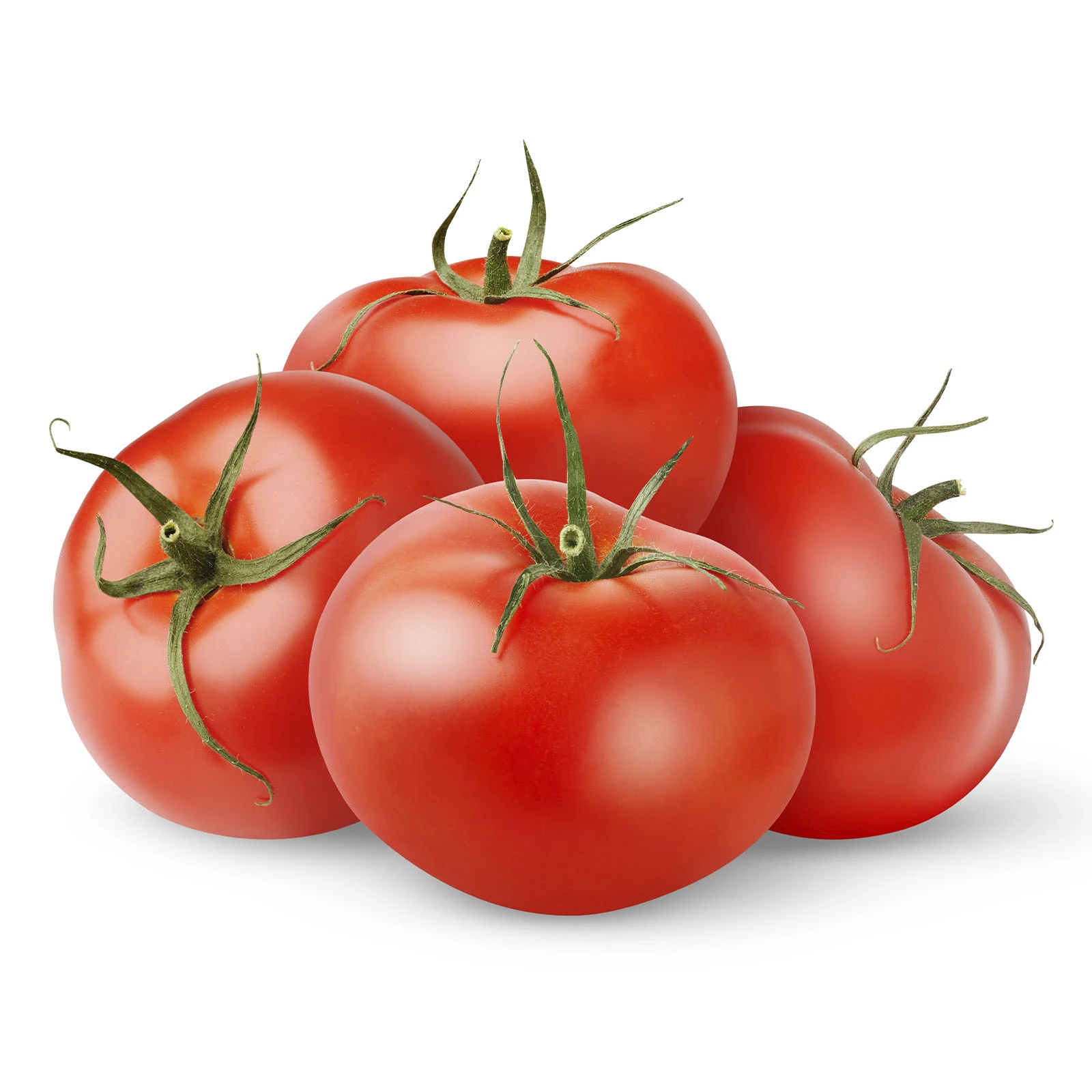 Помiдори Фото №:1