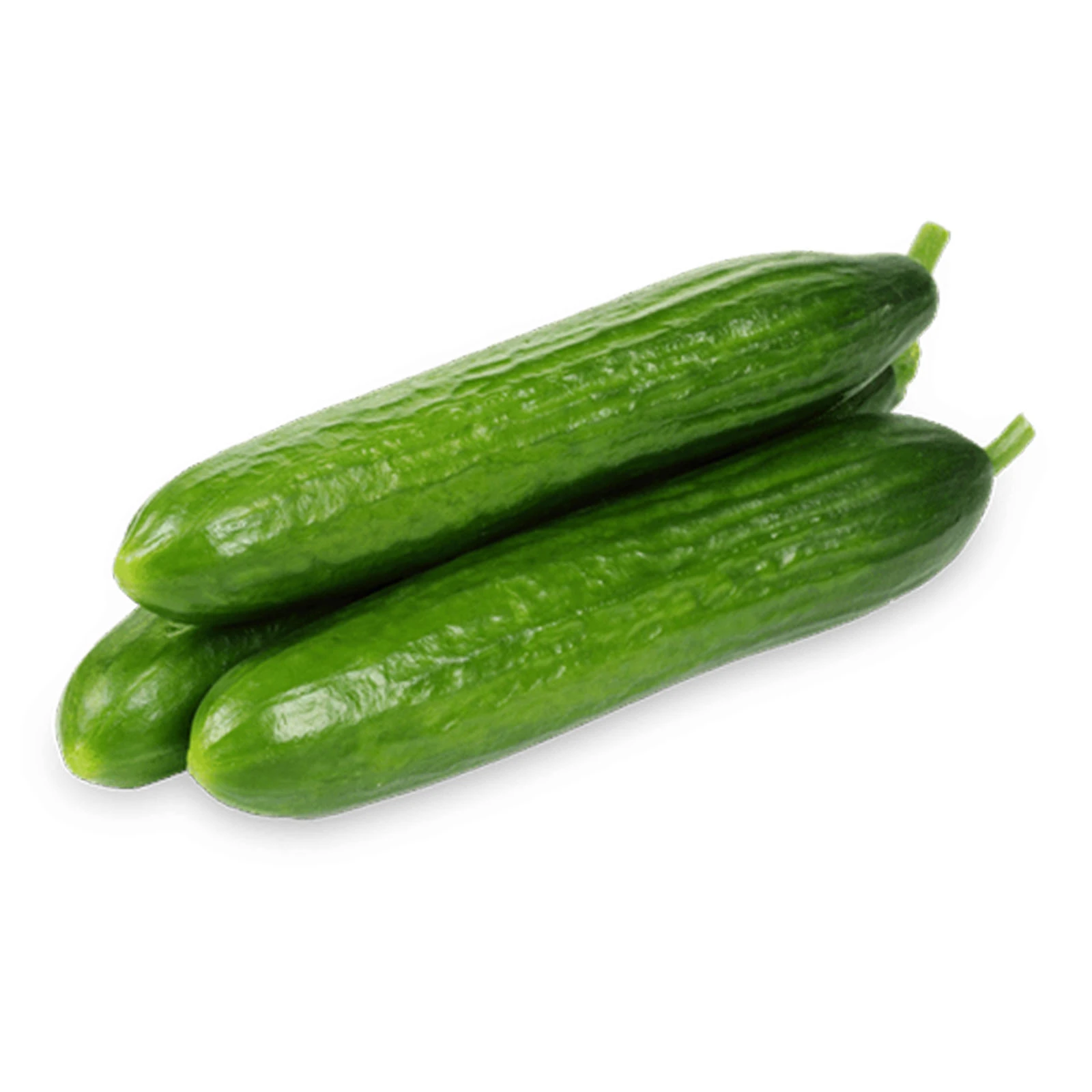Огірок гладкий Фото №:1