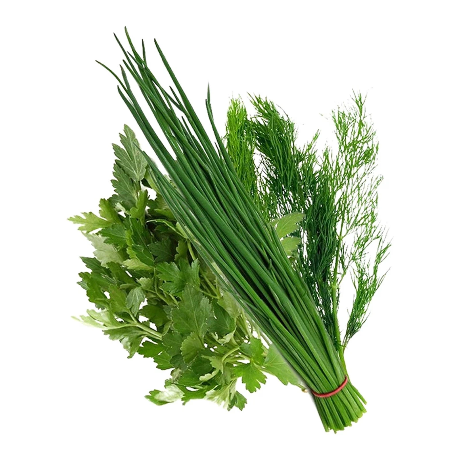 Зелень Вітамінний набір (цибуля-петрушка-кріп) 70г Фото №:1