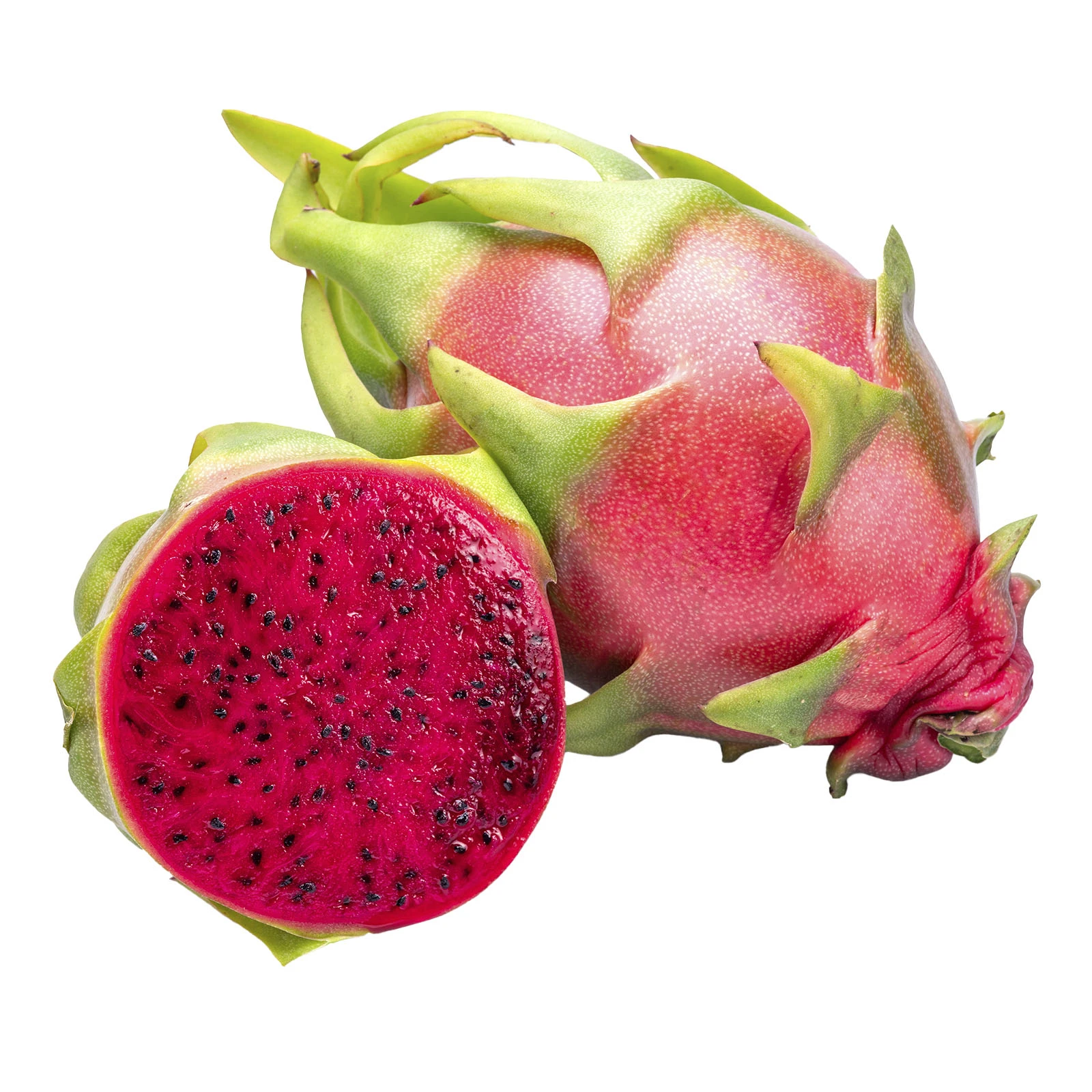 Пітахая шт Фото №:1