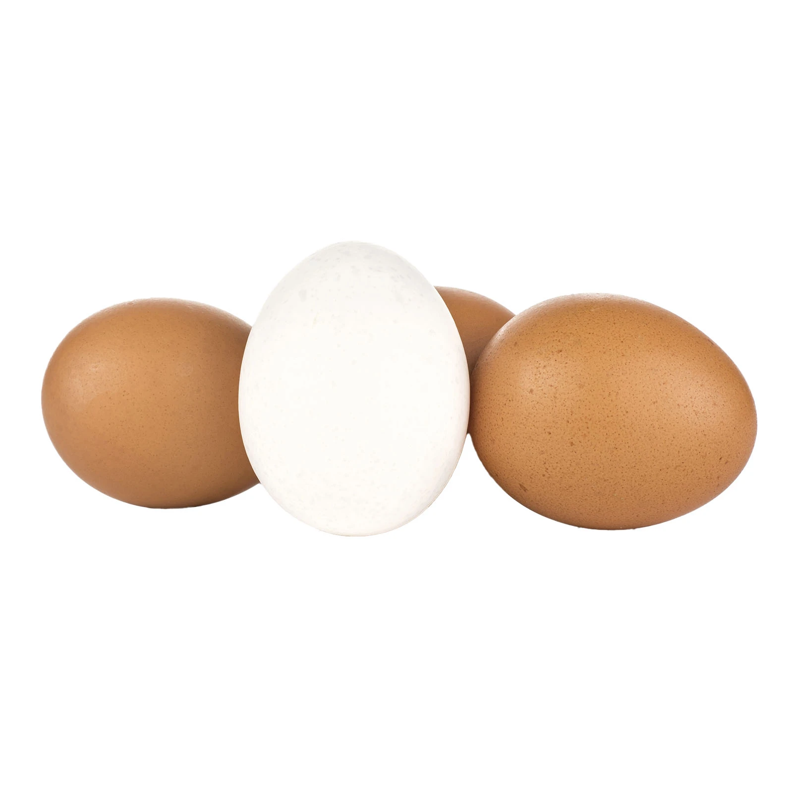 Яйце куряче фермерське С1 штучне Фото №:1