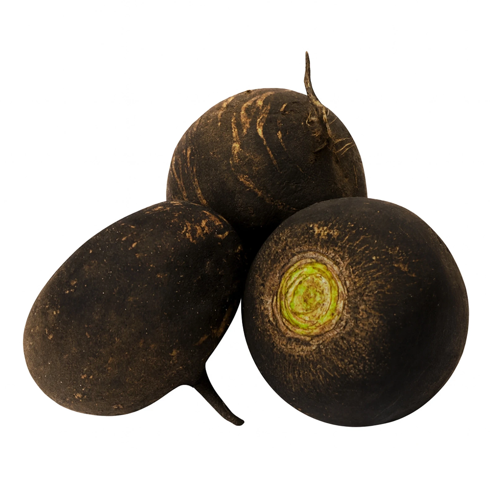 Редька чорна Фото №:1