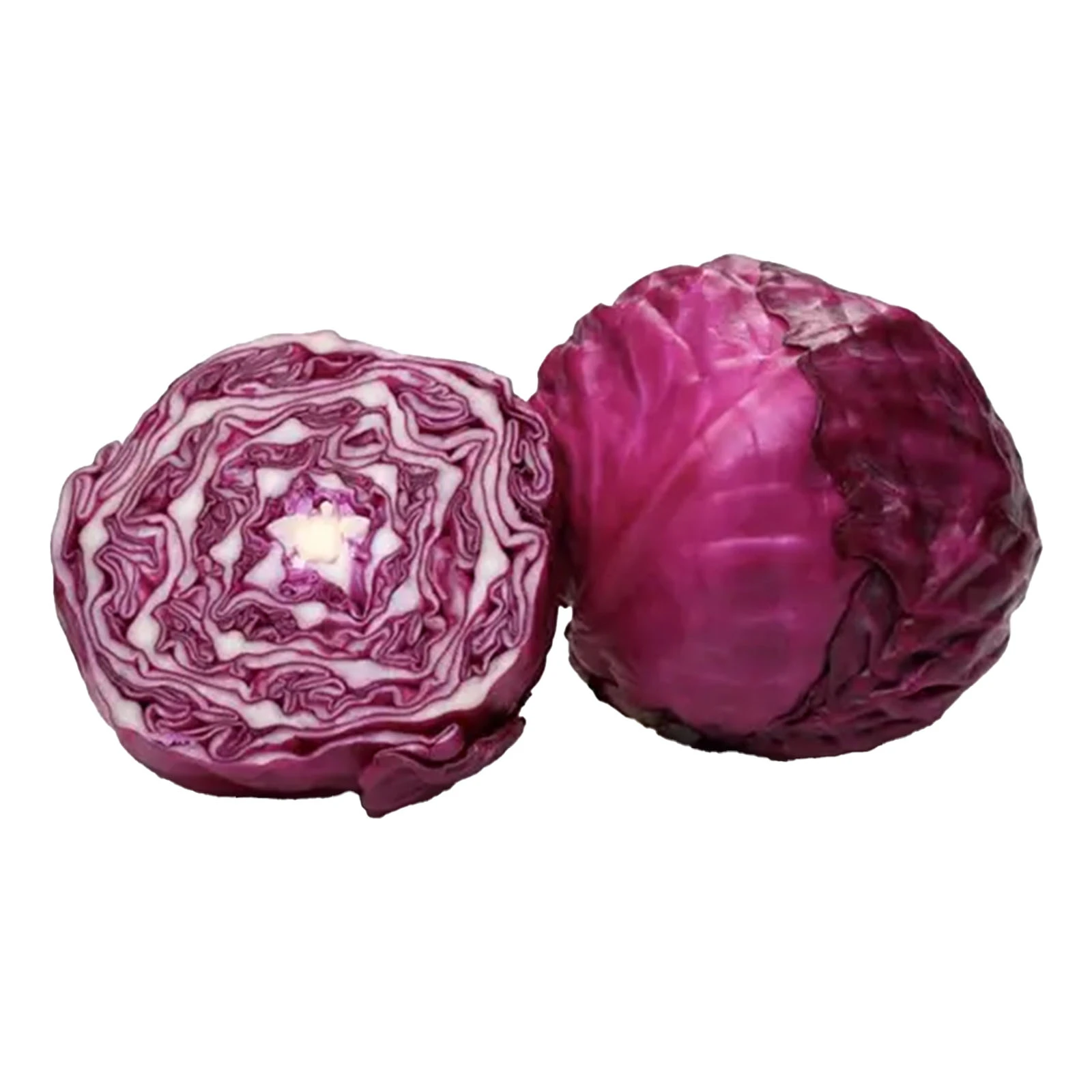 Капуста синя Фото №:1