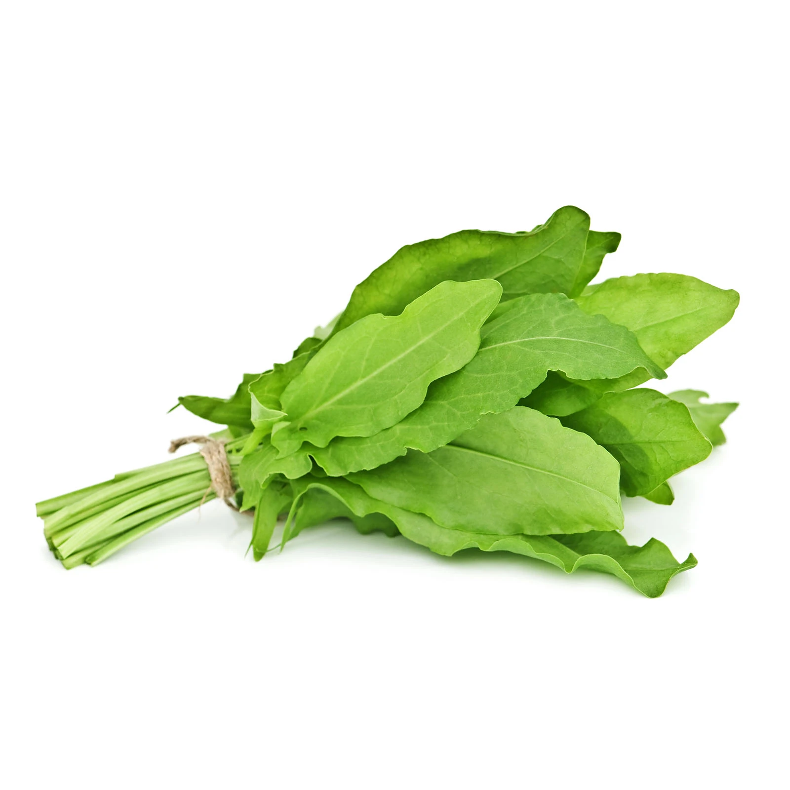 Щавель свіжий 50г Фото №:1