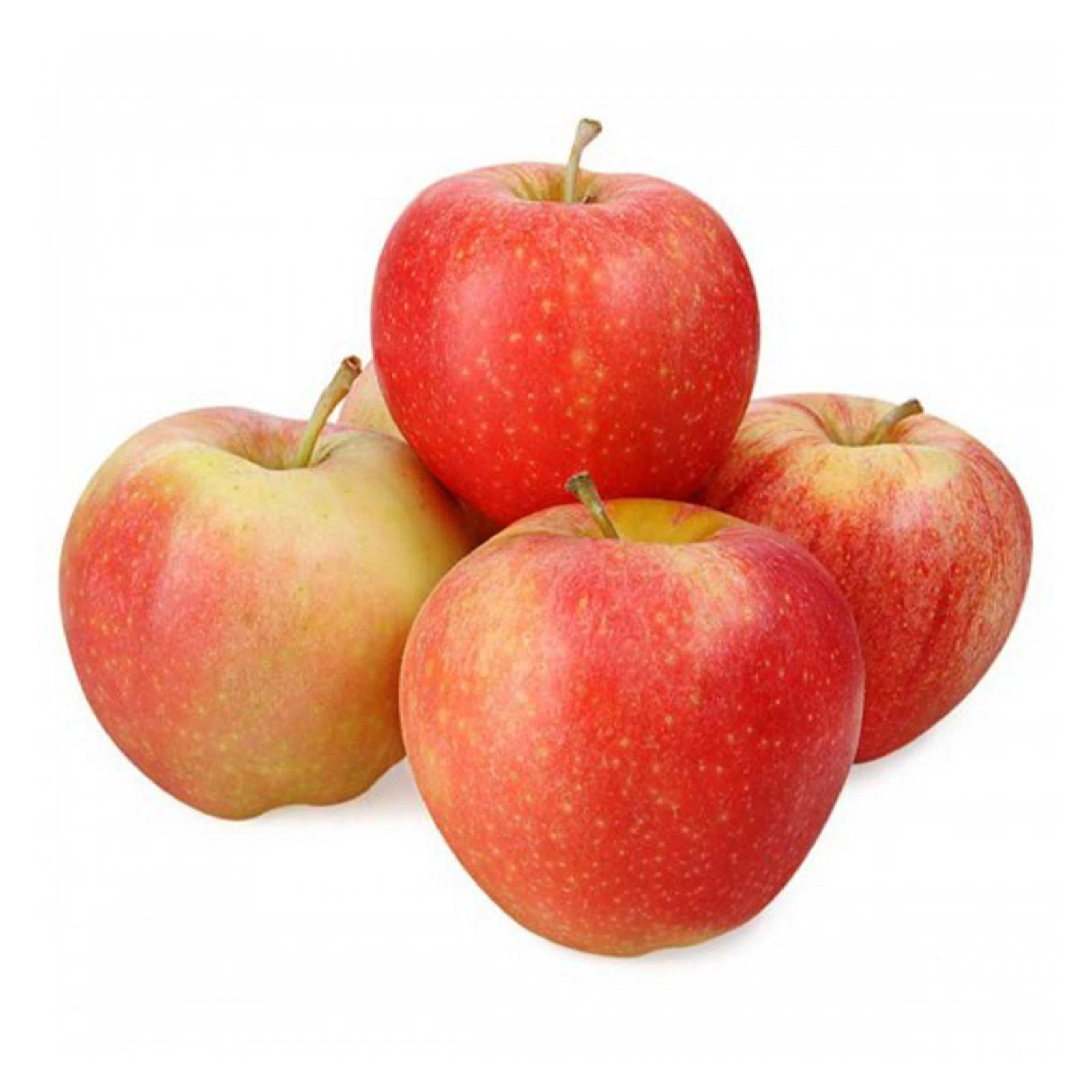 Яблука Гала Фото №:1