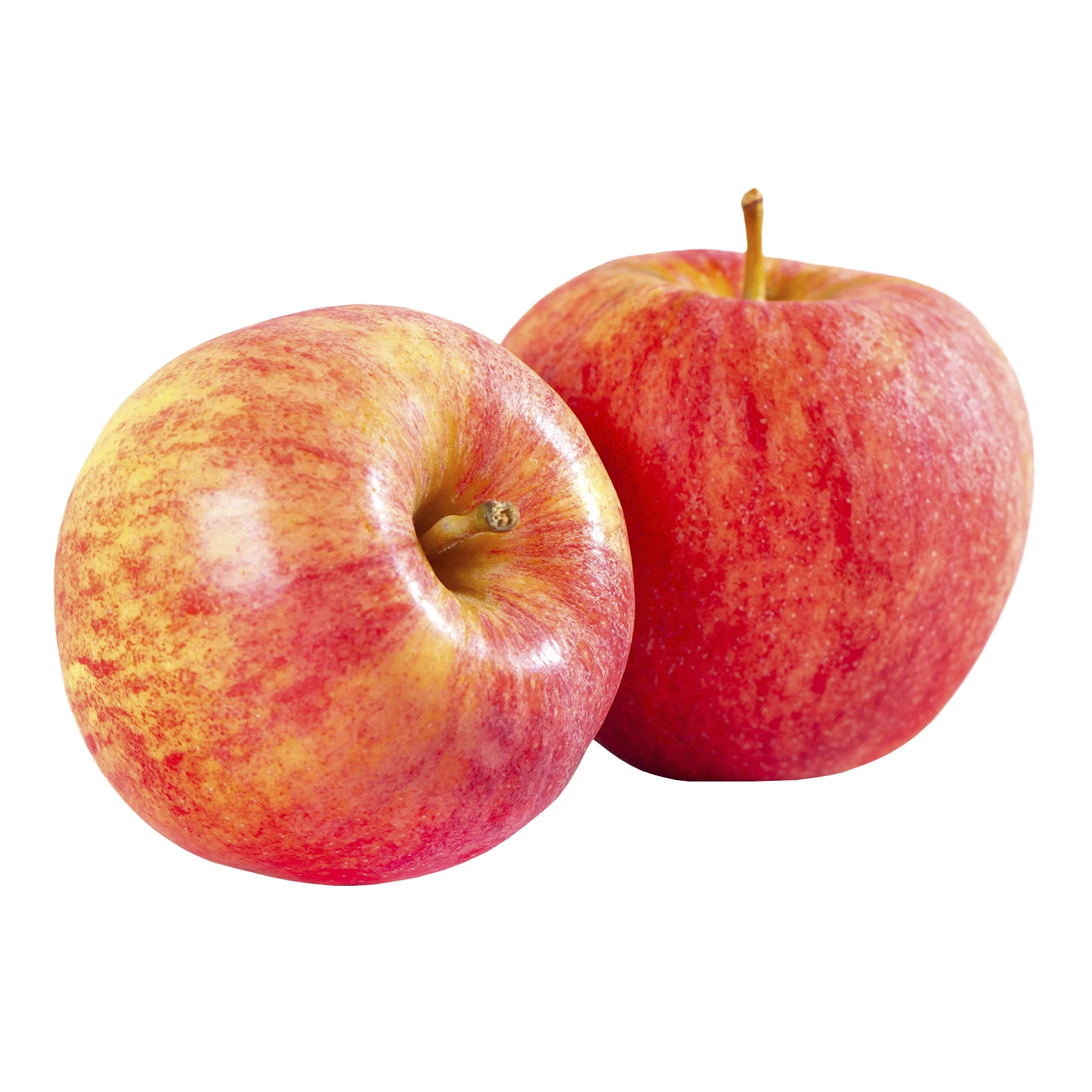 Яблука Чемпіон Фото №:1