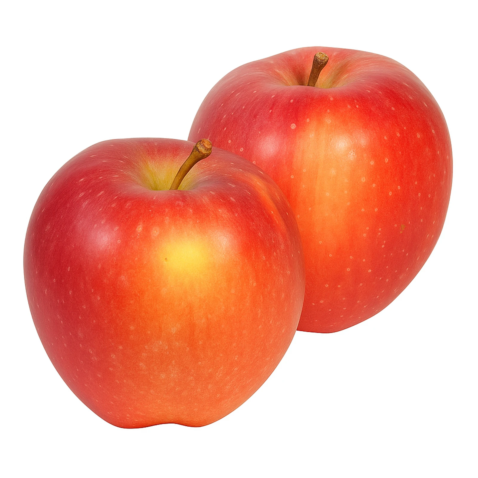 Яблука Флорина Фото №:1