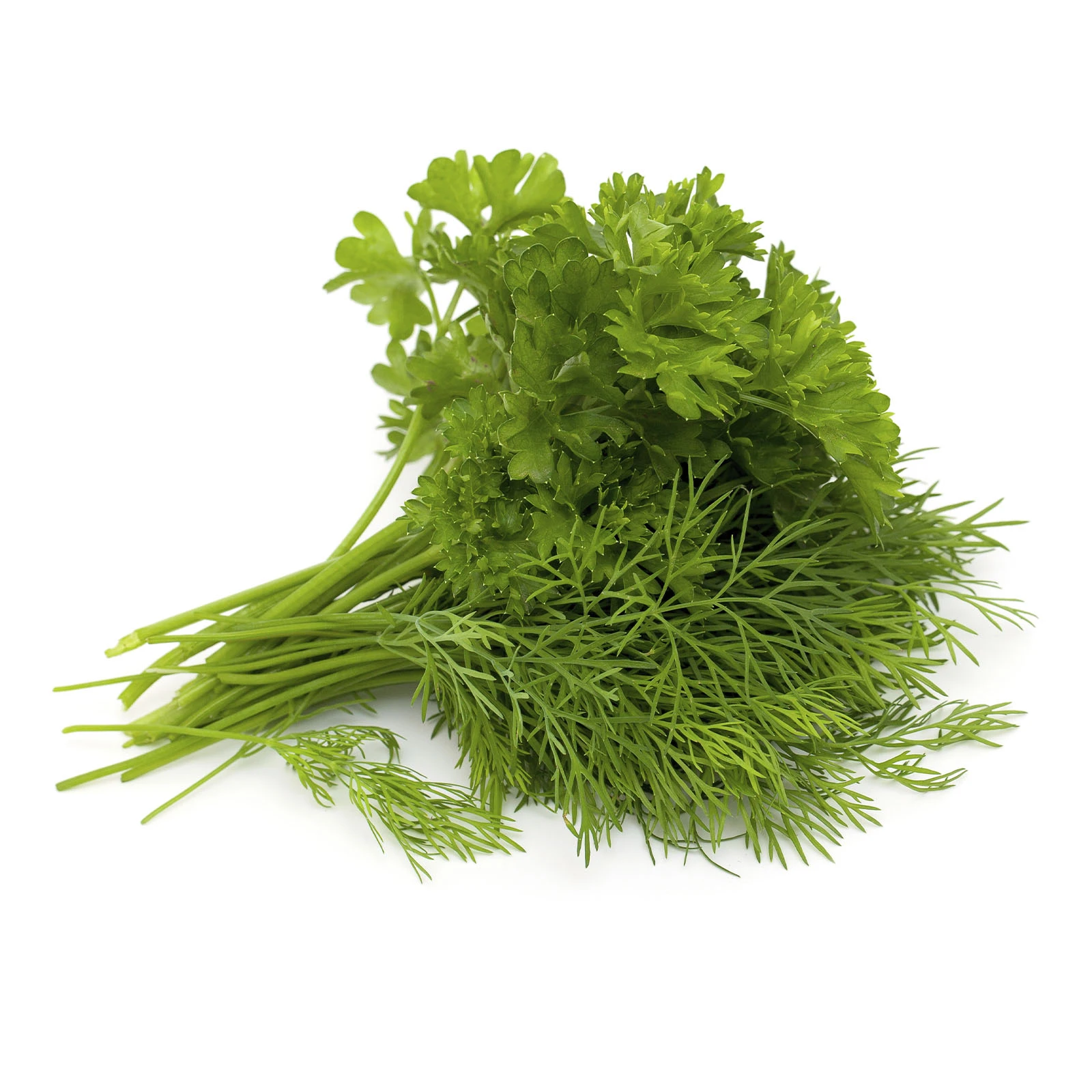 Кріп + Петрушка свіжі 40г Фото №:1