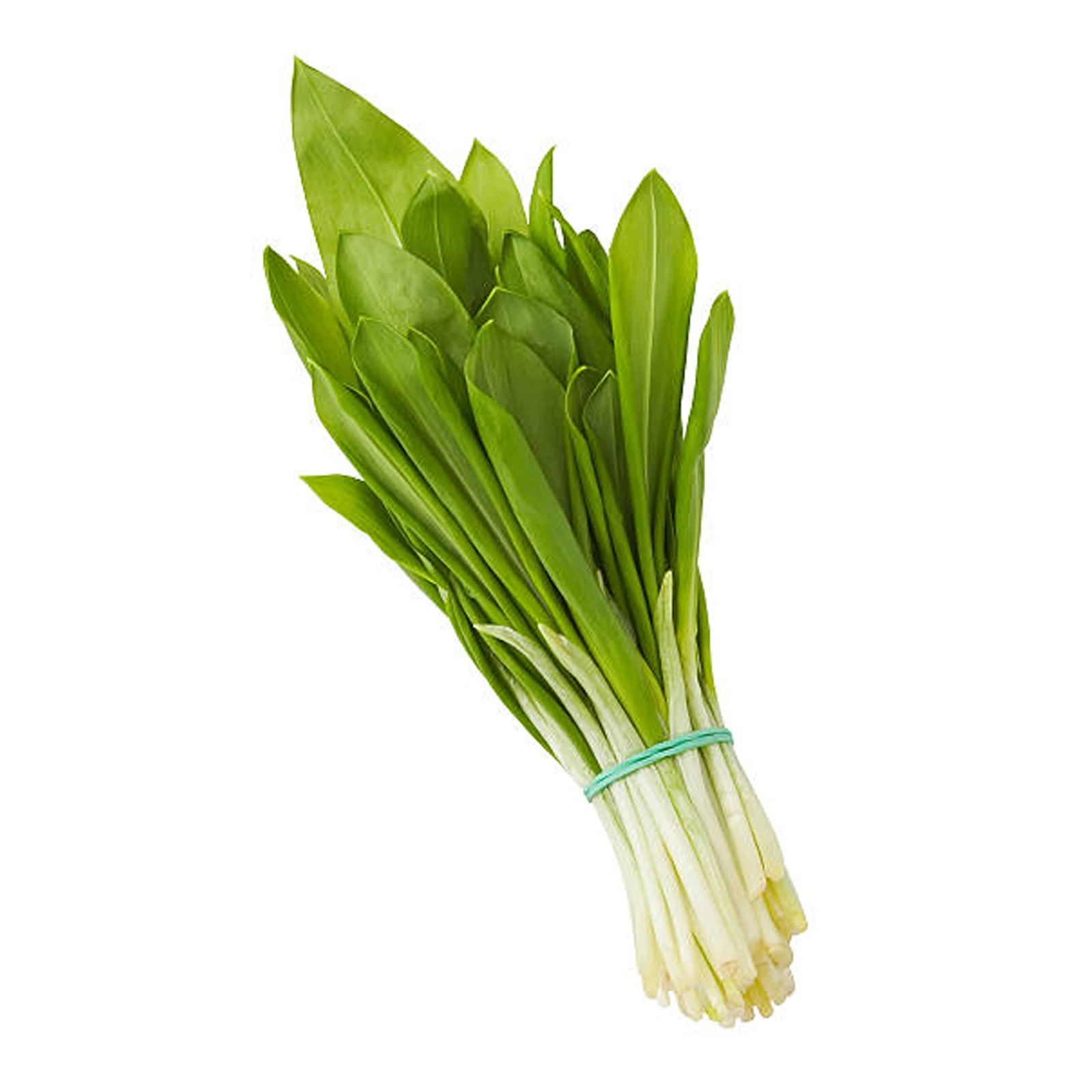 Зелень Черемша Фото №:1