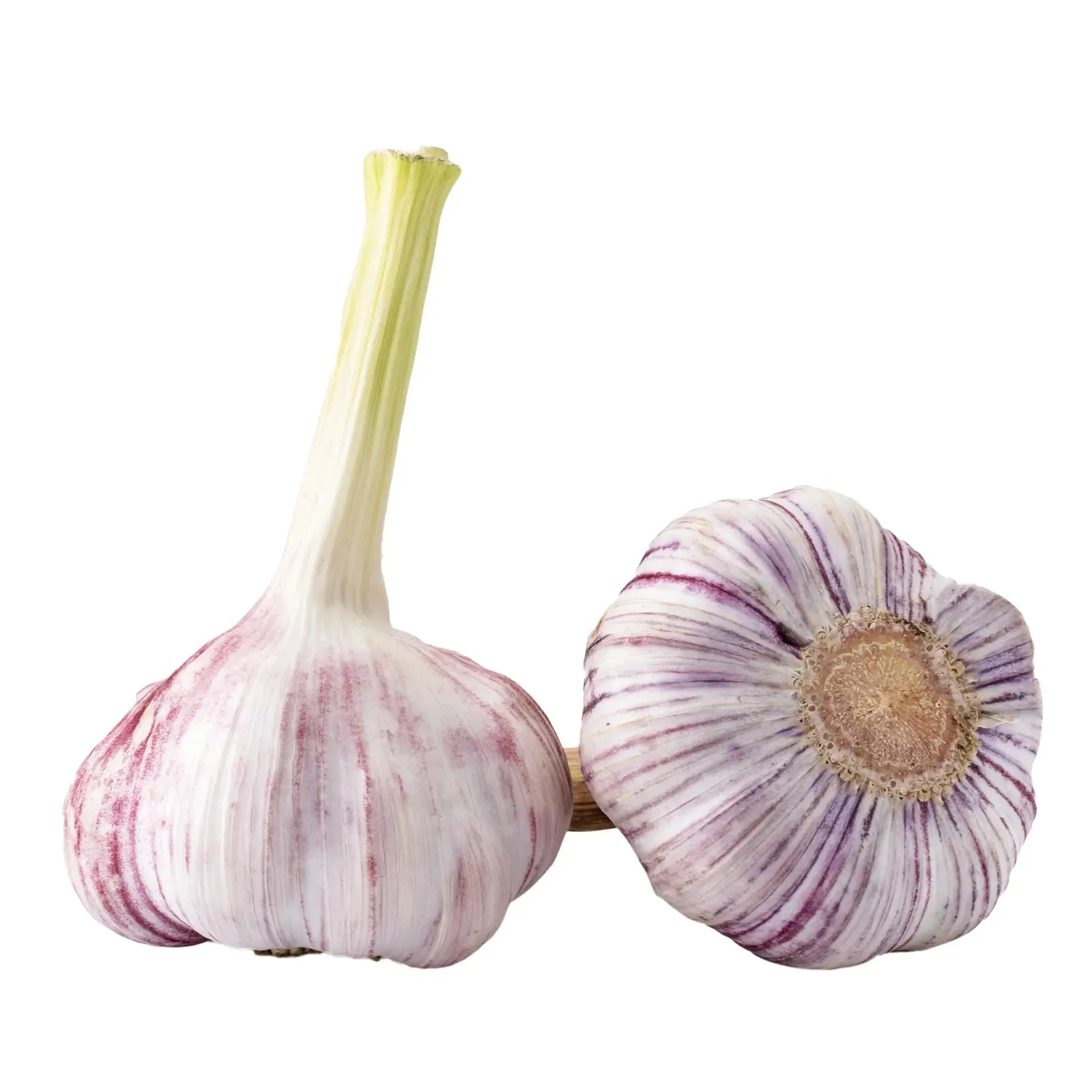 Часник молодий Фото №:1