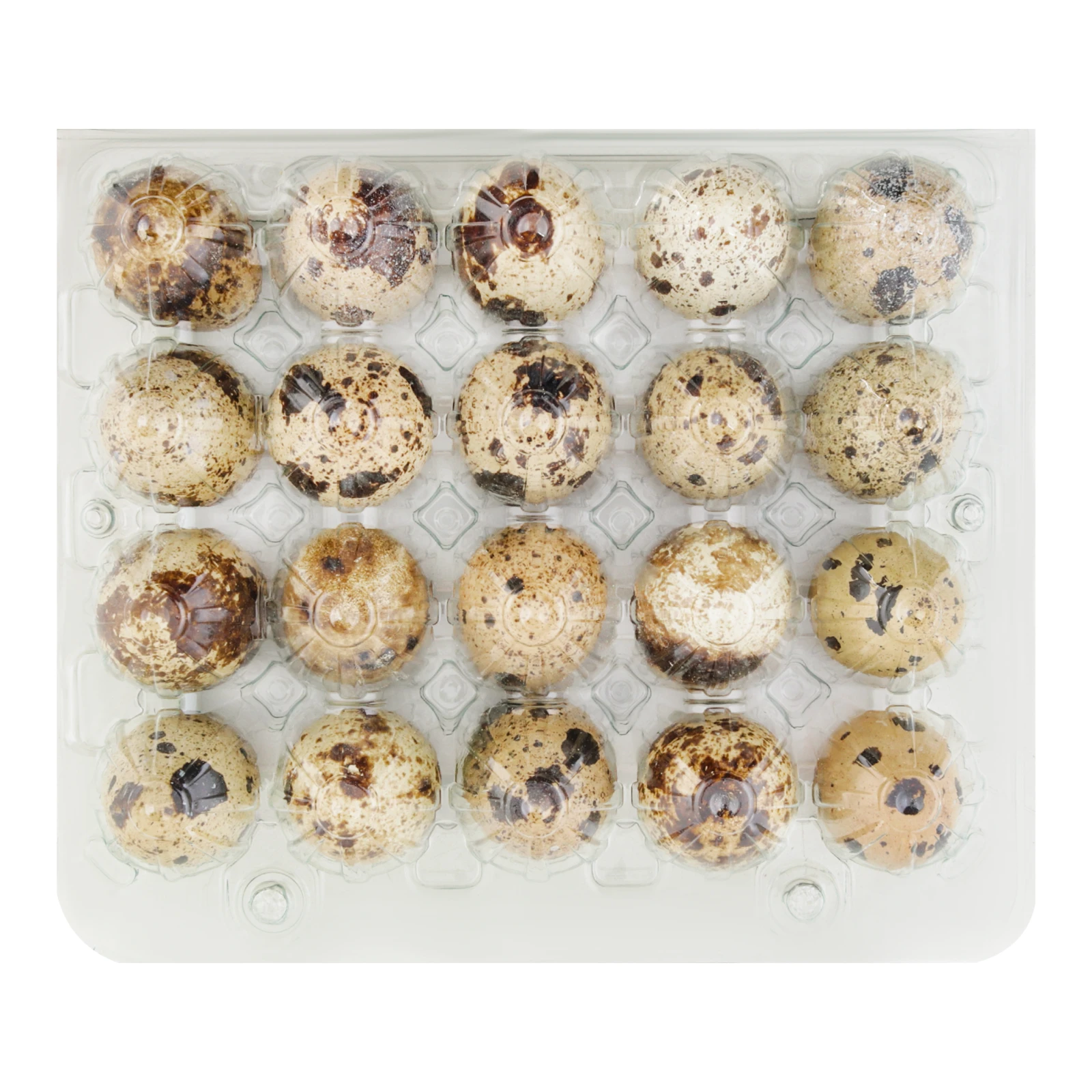 Яйця перепелині 20шт Фото №:2