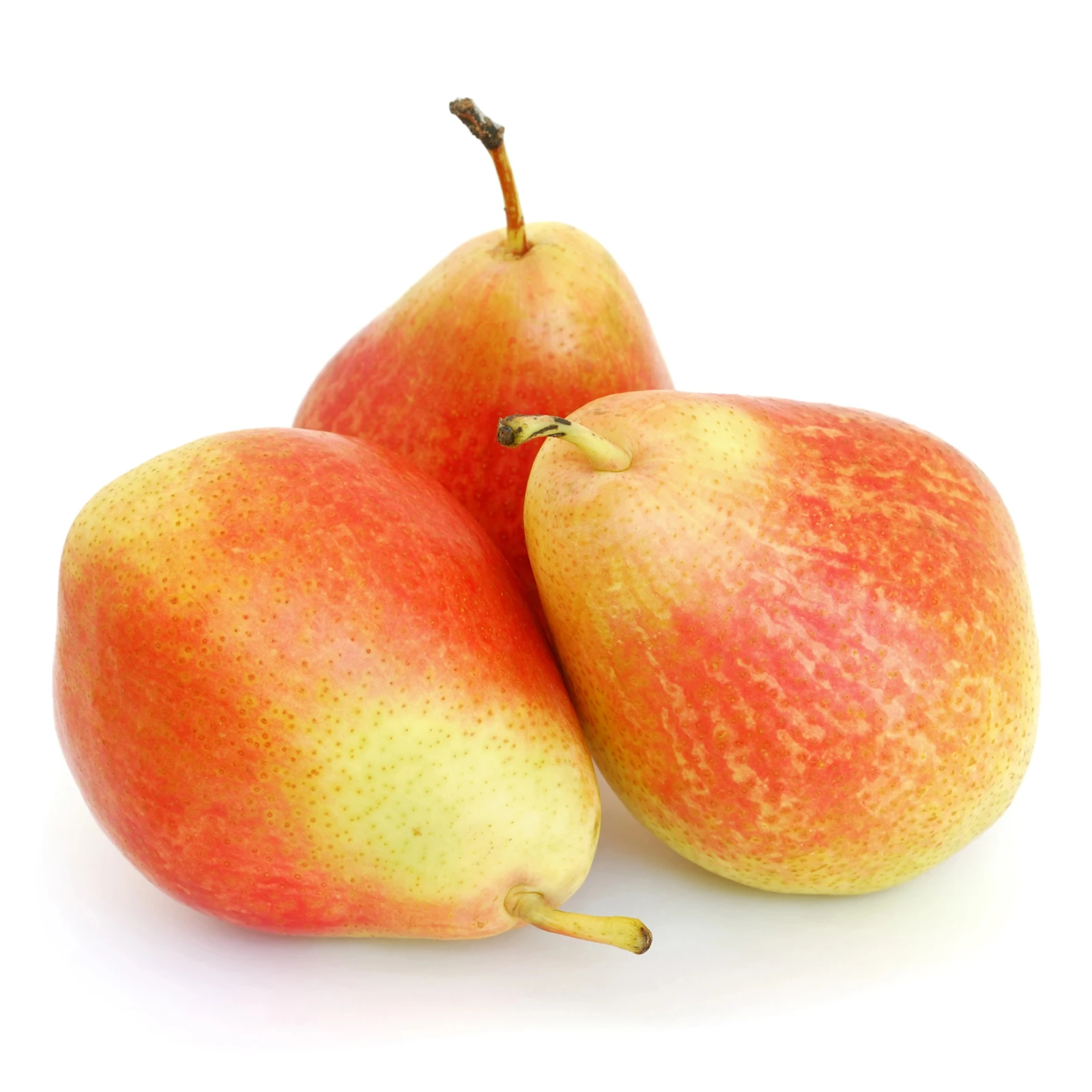 Груша Киргизька Фото №:1