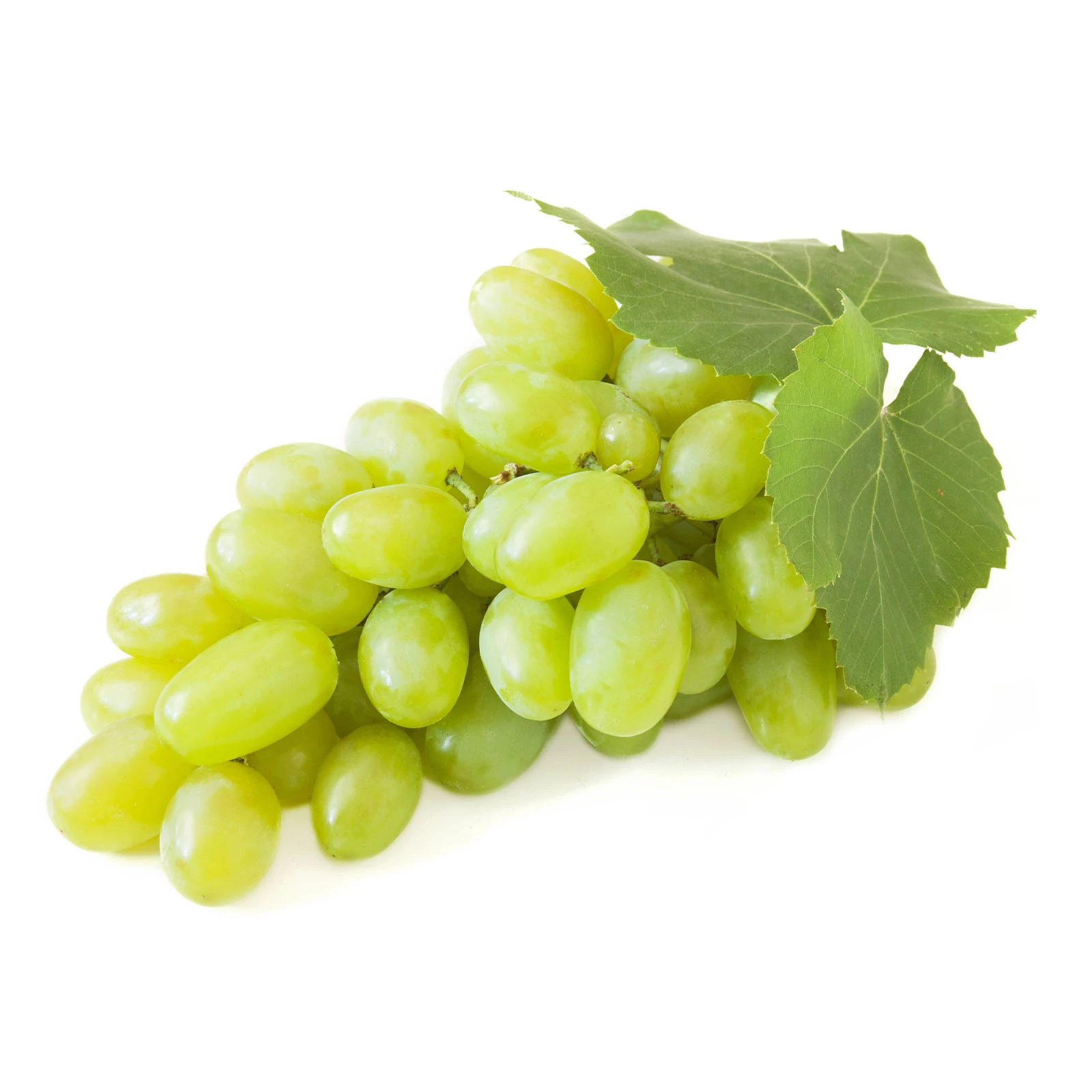 Виноград Дамський Пальчик Фото №:1