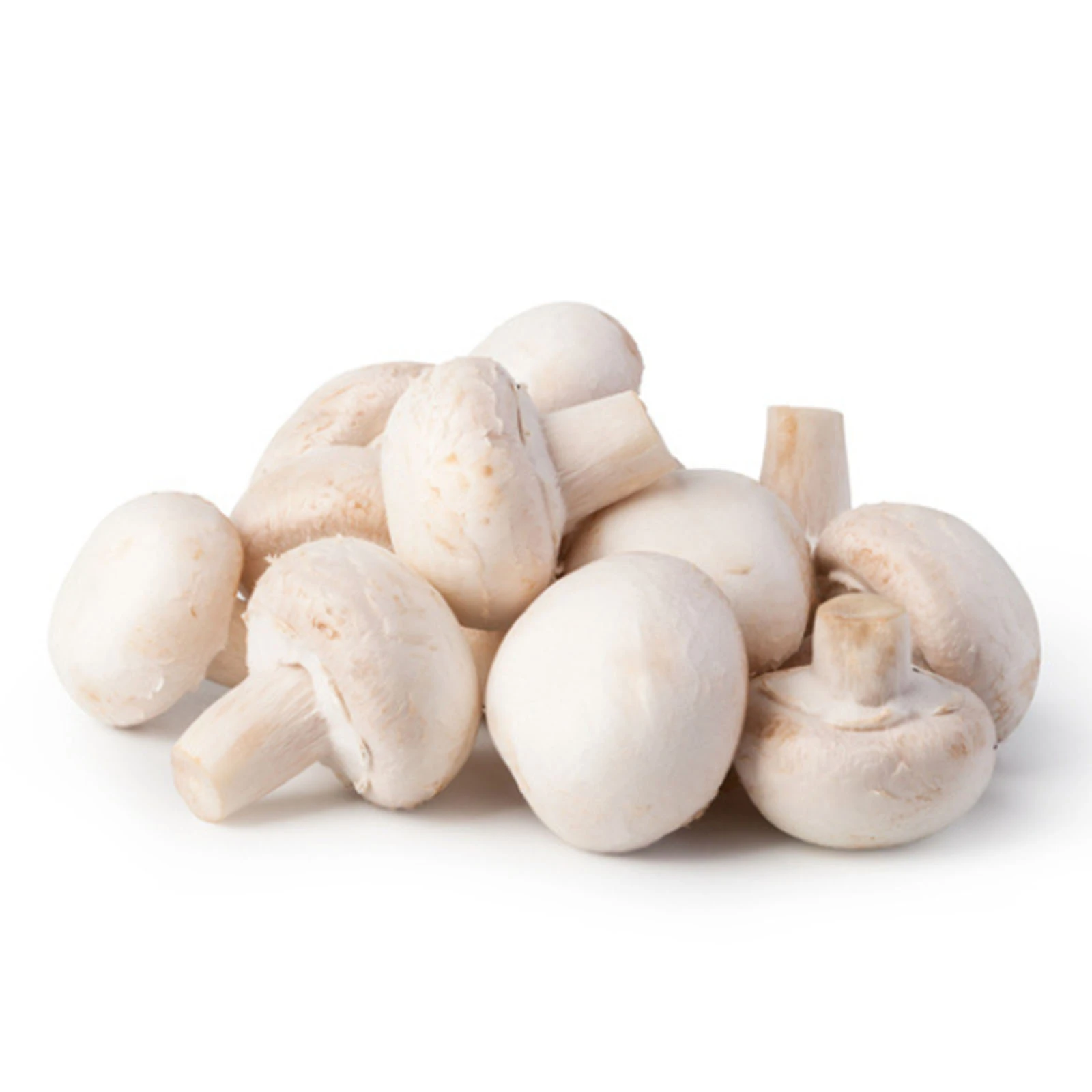 Гриби печериці Фото №:1