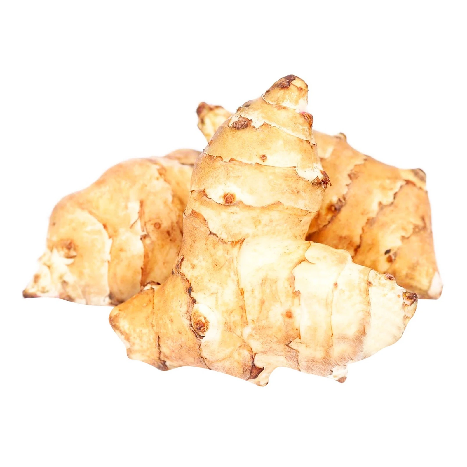 Топінамбур Фото №:1