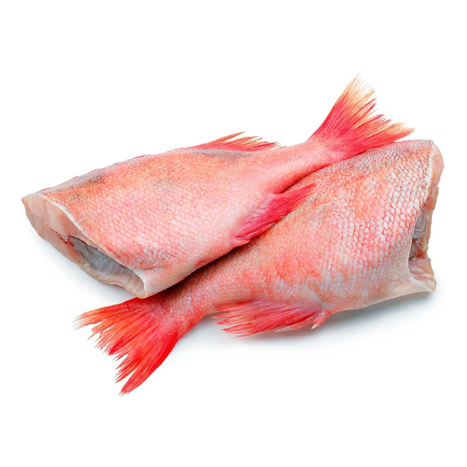 Окунь 400-600 ваг Фото №:1