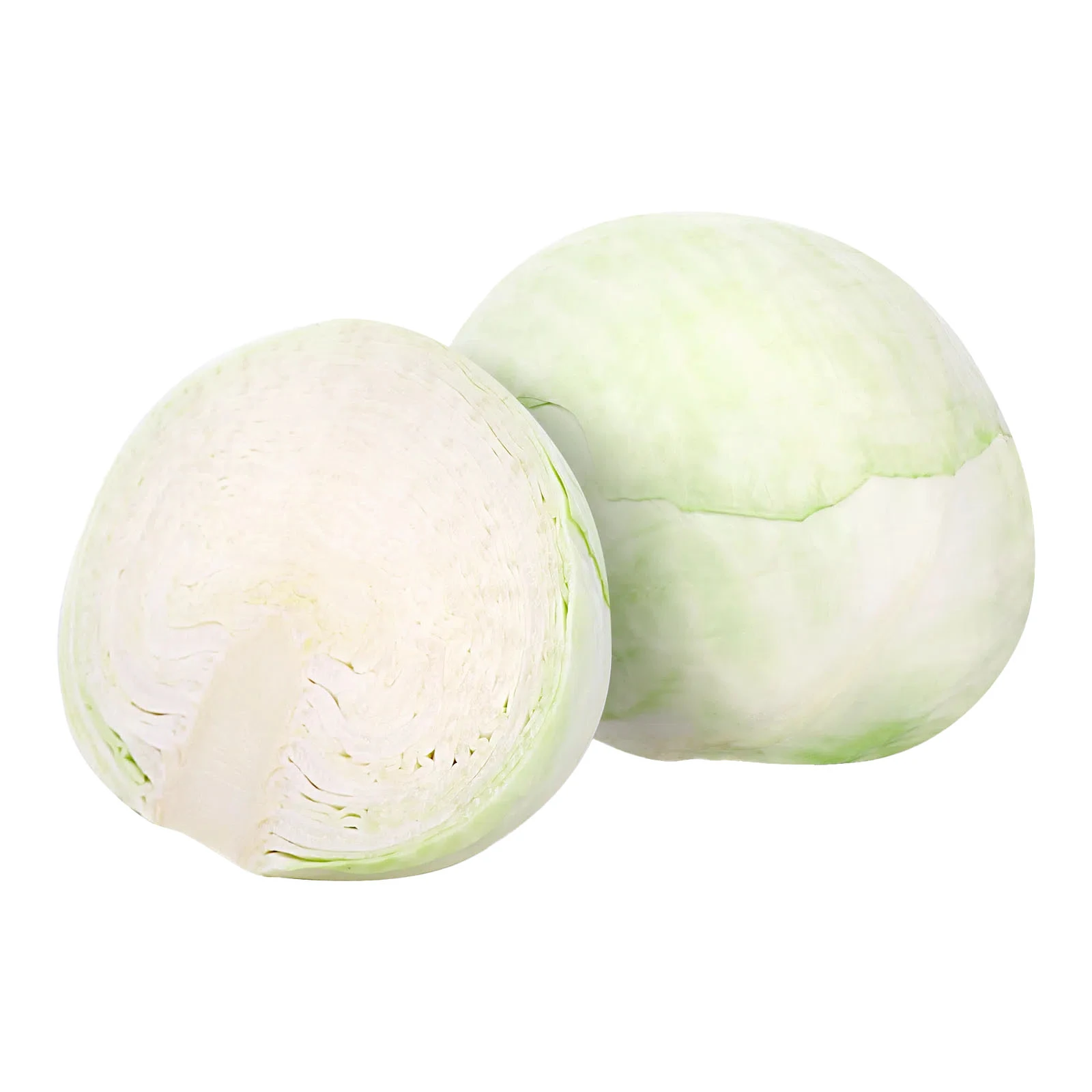 Капуста білоголова Фото №:1