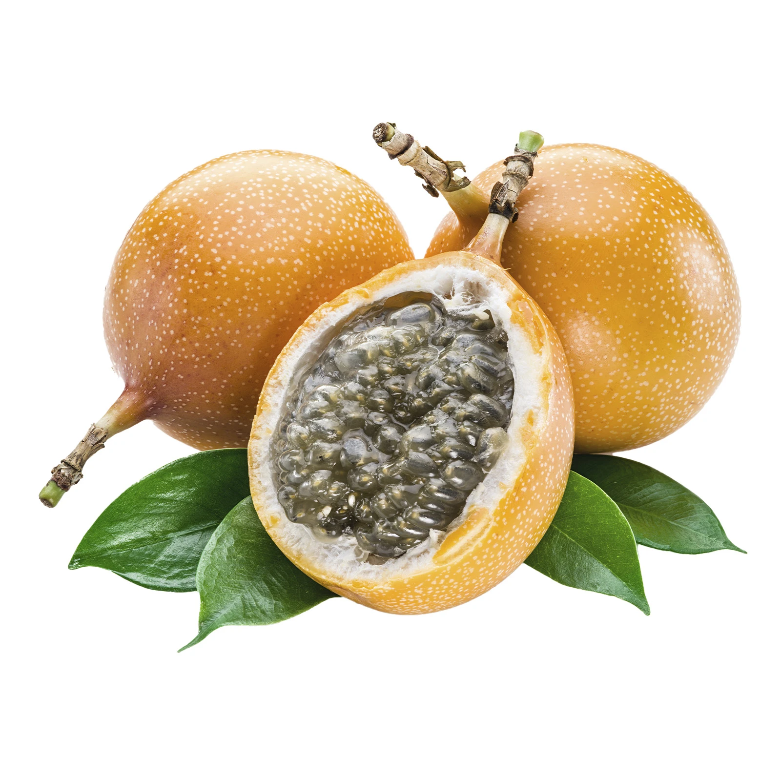 Гранаділа Фото №:1