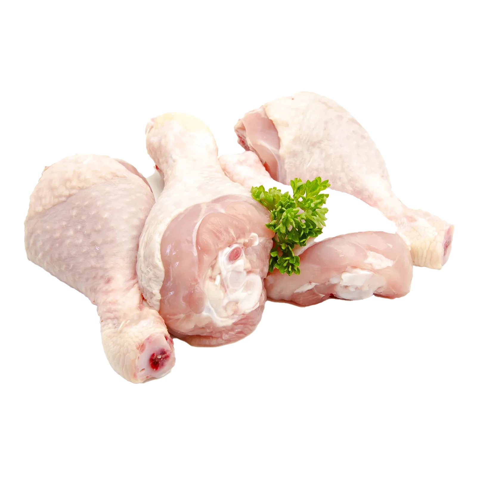 Гомілка куряча Фото №:1