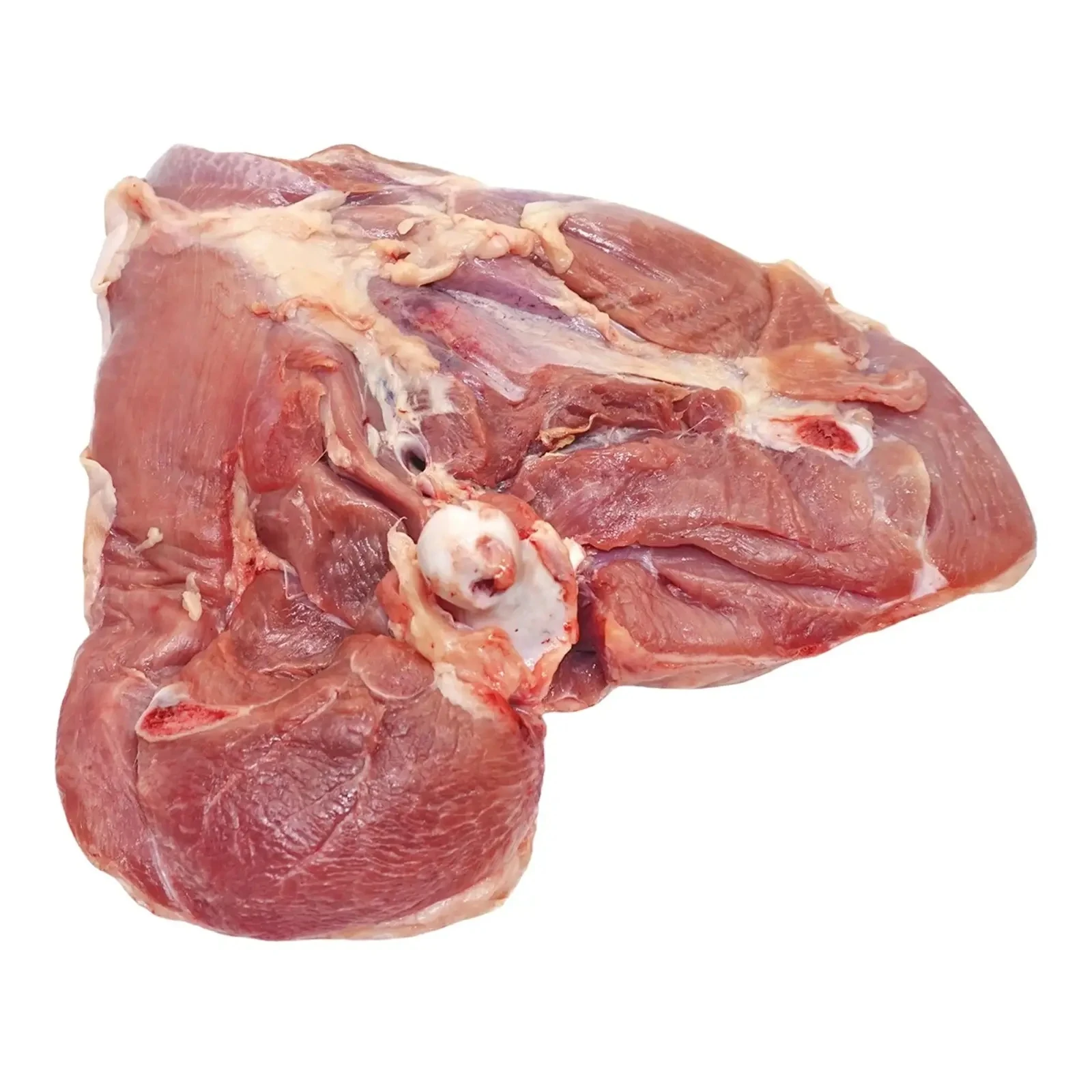 Стегно iндиче Фото №:1