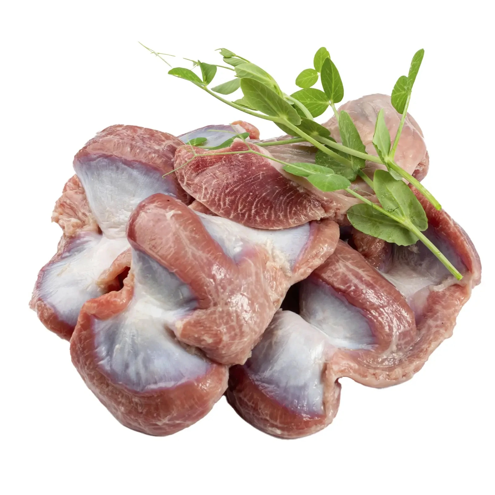 Шлунок курячий охол. ваг. Фото №:1