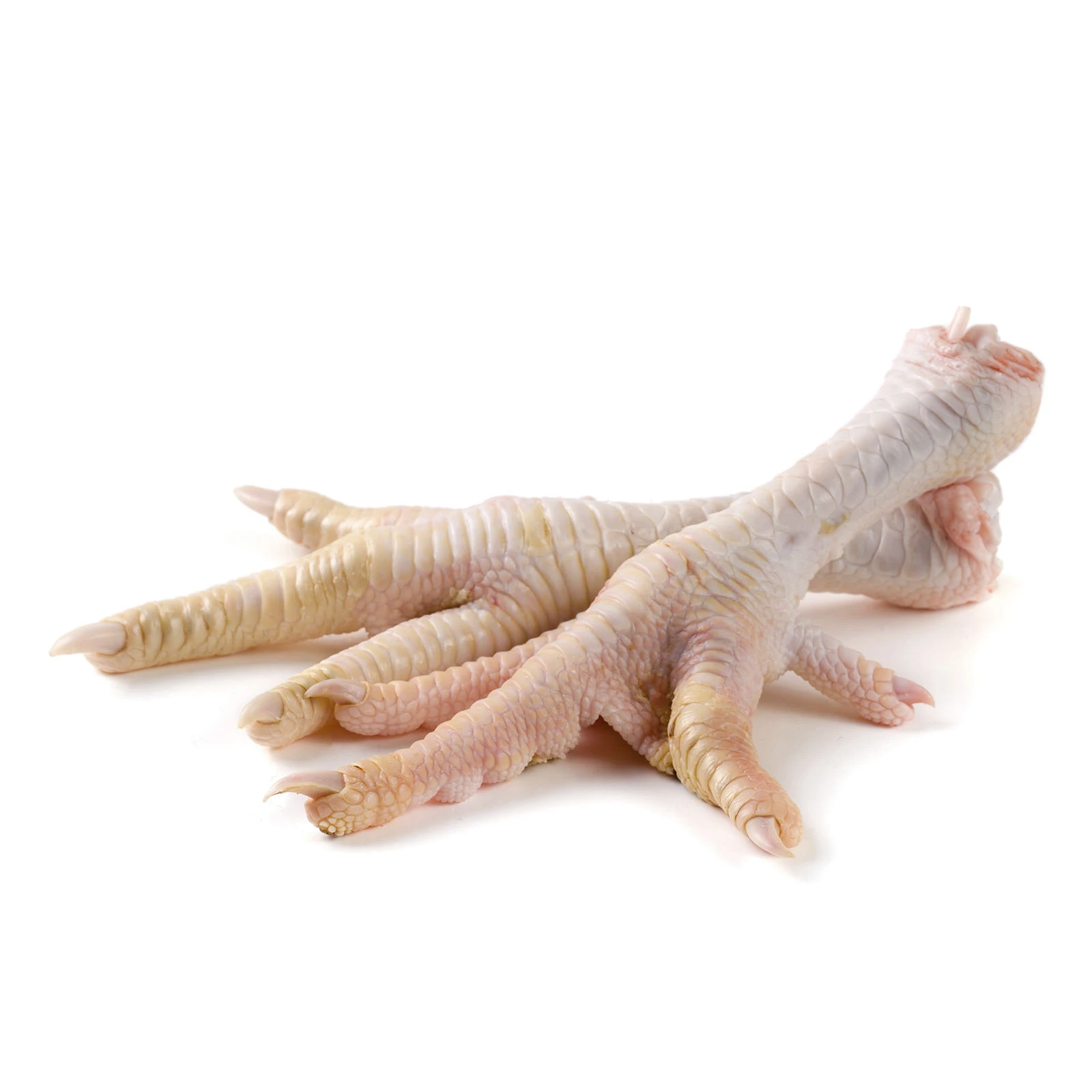 Лапи курячі