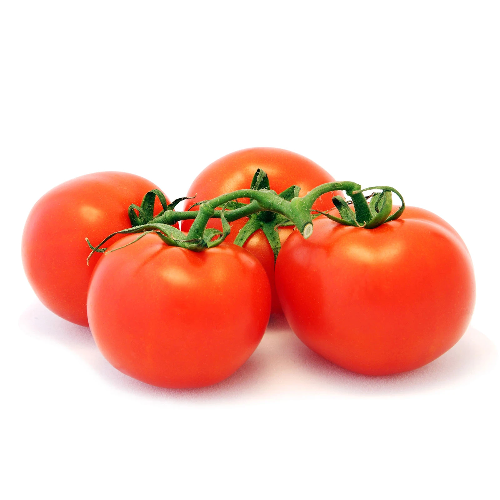 Помідори на гілці Україна Фото №:1