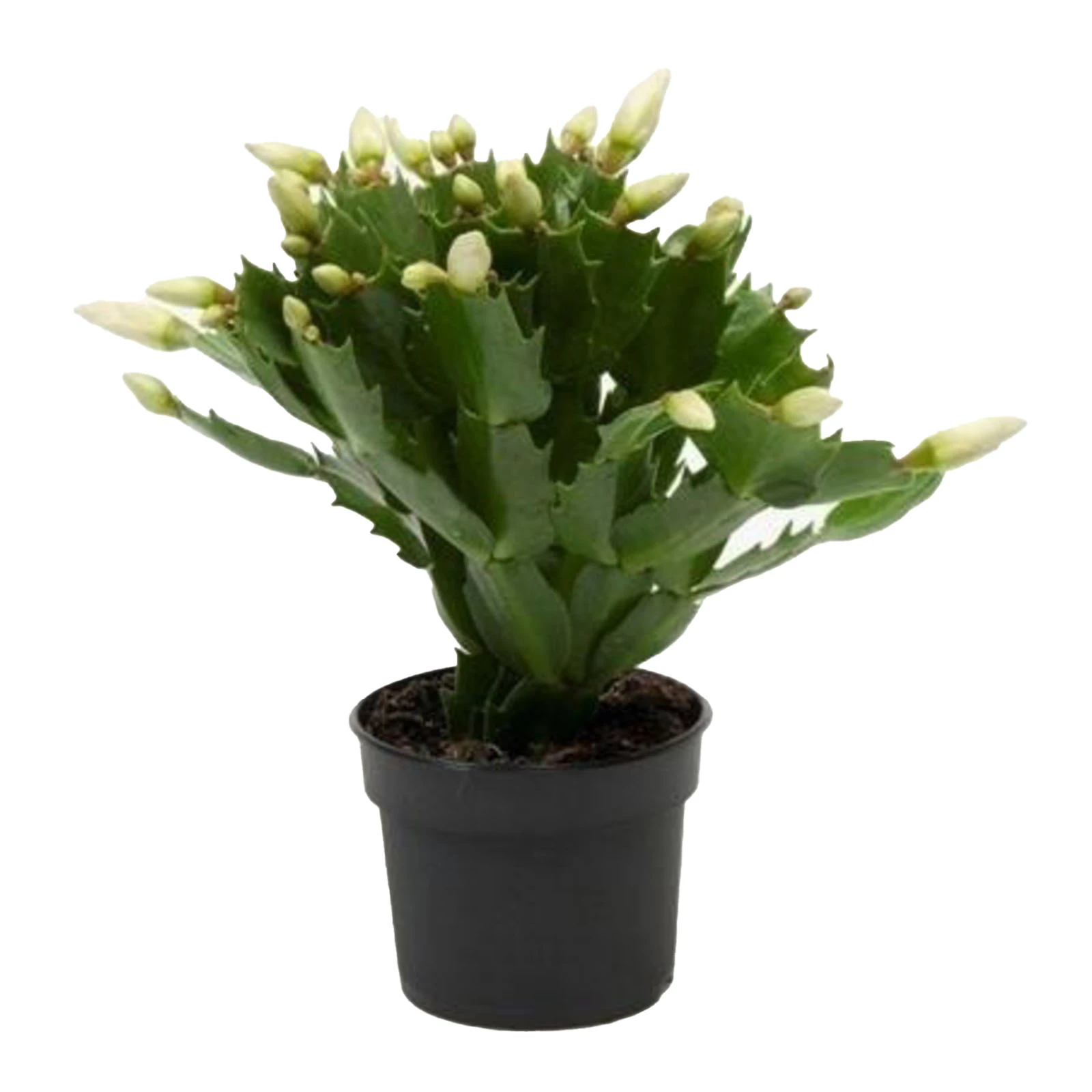 Шлюмбергера 18/9 Фото №:1