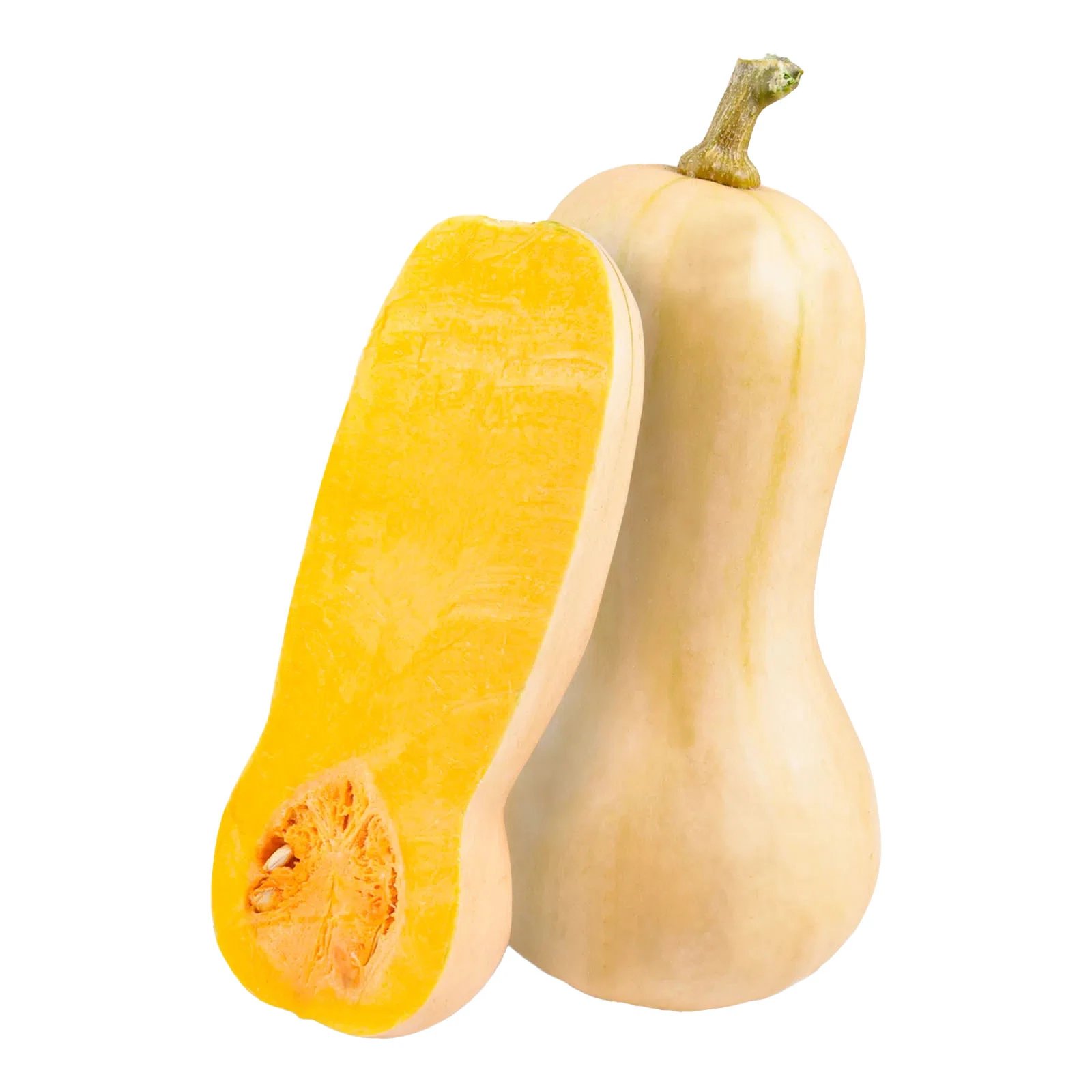 Гарбуз Баттернат Фото №:1