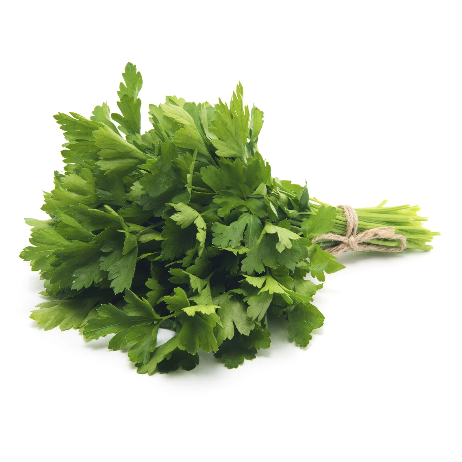 Петрушка свіжа 100г Фото №:1