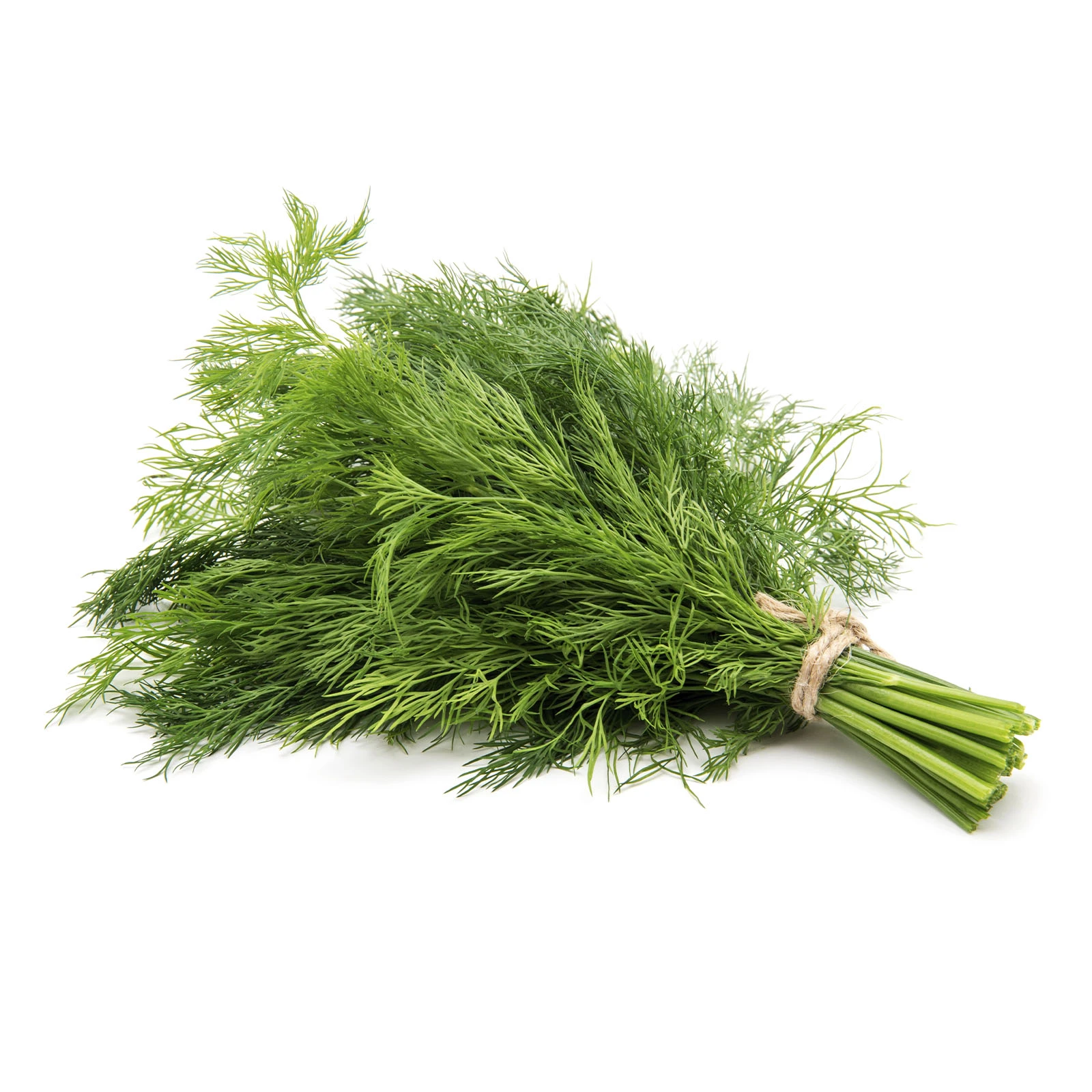 Кріп свіжий 100г Фото №:1