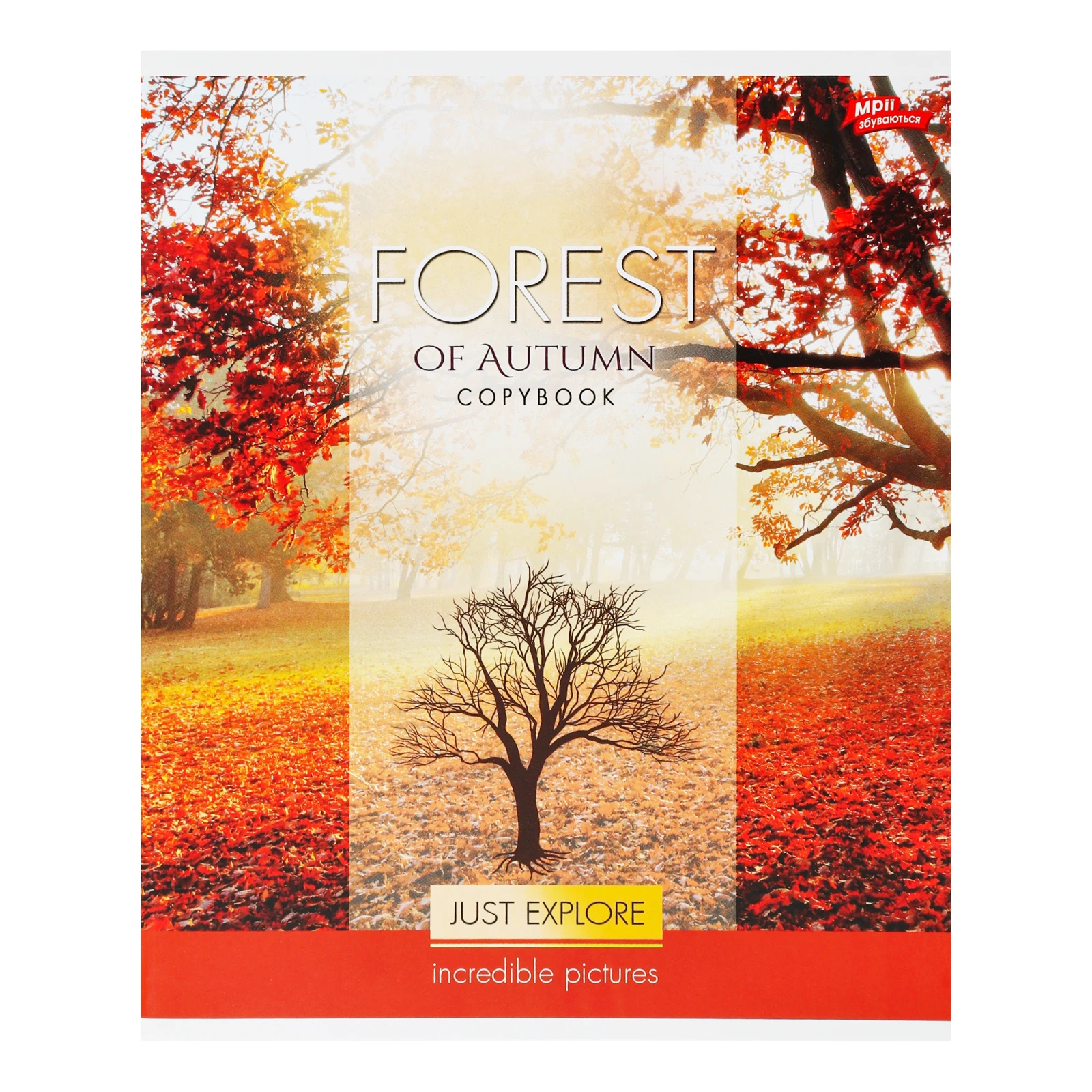 Зошит Мрії збуваються №2-1-60-18В-2209Л-К-С загальний в лінію 60 аркушів 1шт Фото №:1