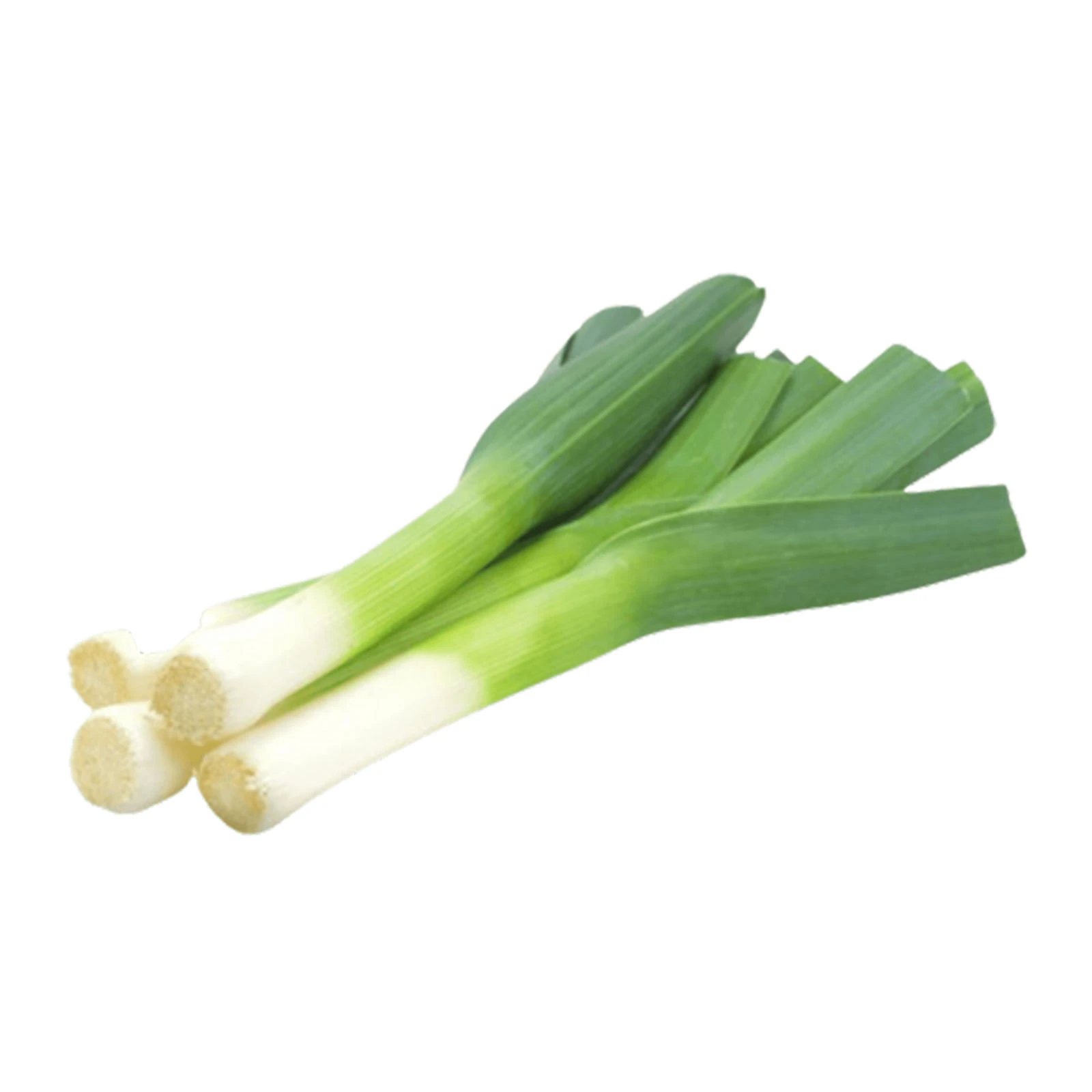 Цибуля Порей Україна Фото №:1