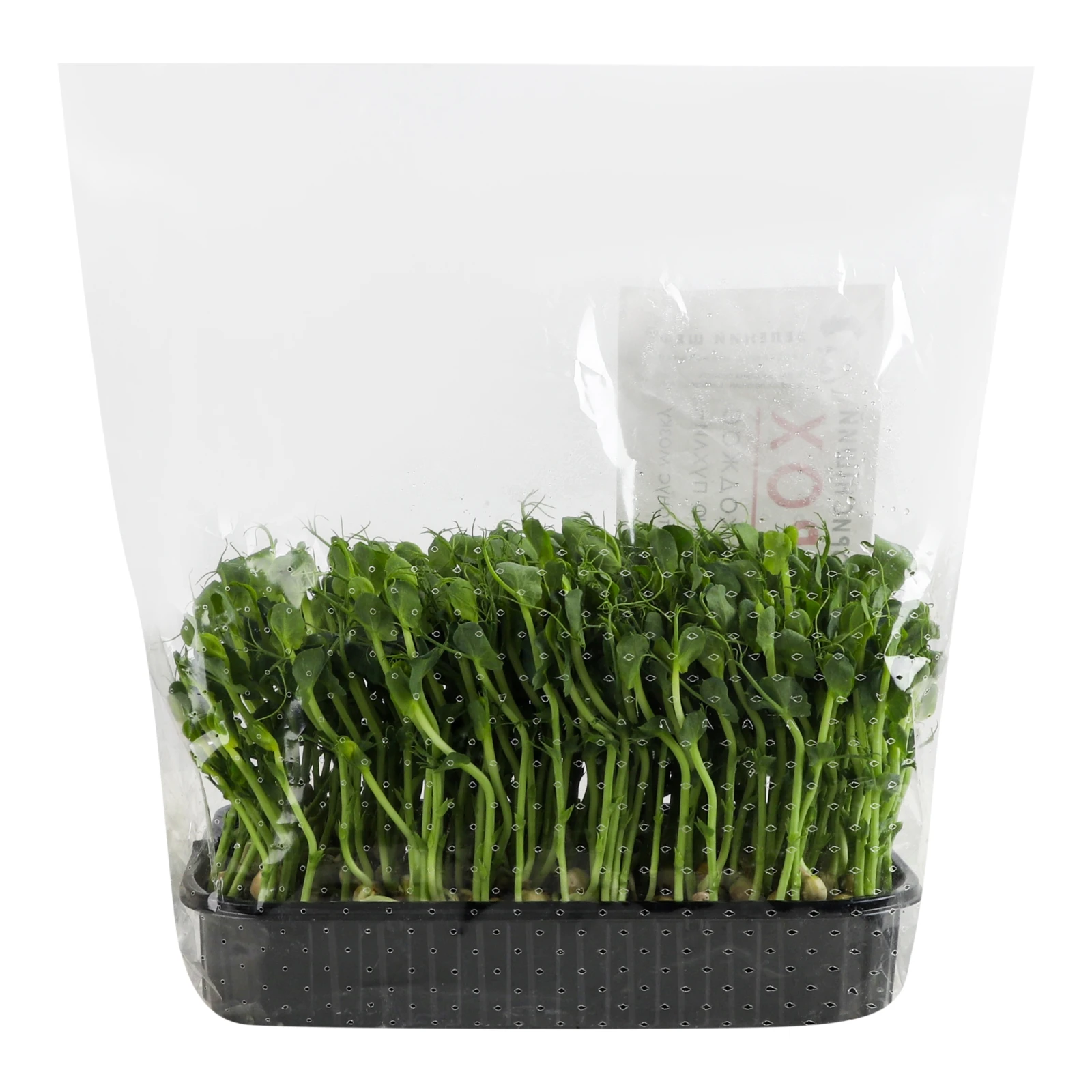 Мікрозелень Зелений Шеф Горох зростаюча 90г Фото №:2