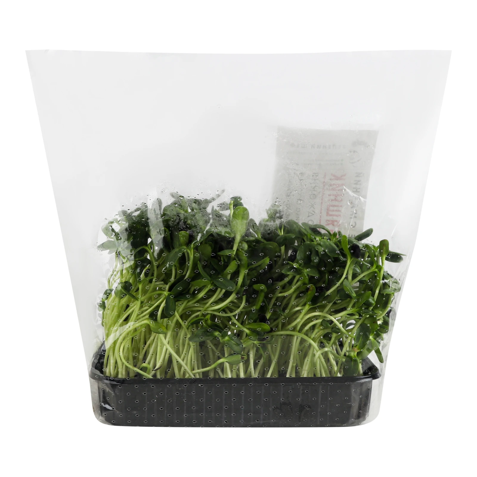 Мікрозелень Зелений Шеф Соняшник зростаюча 80г Фото №:2