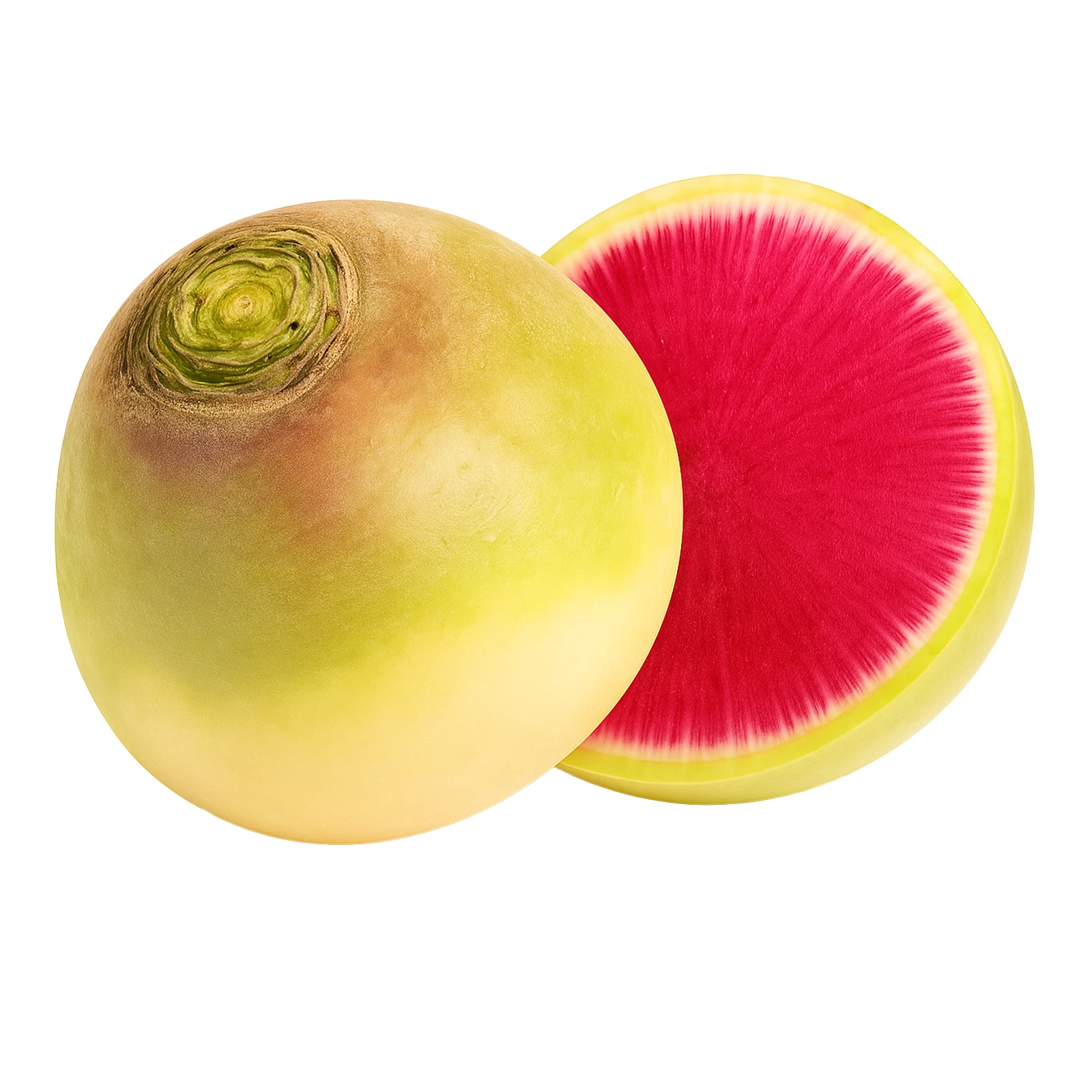 Редька Ред Міт Фото №:1