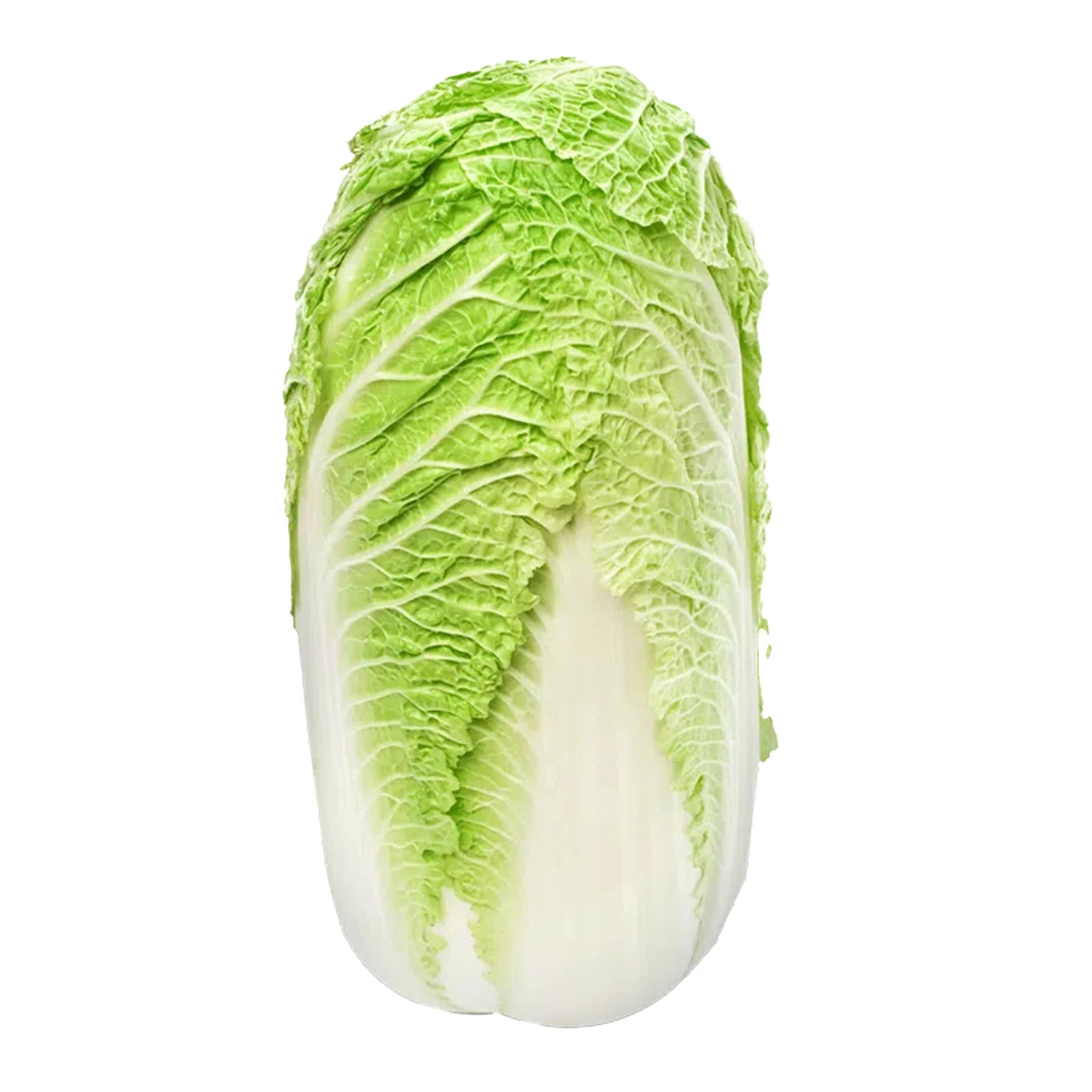 Капуста Пекінська Фото №:1