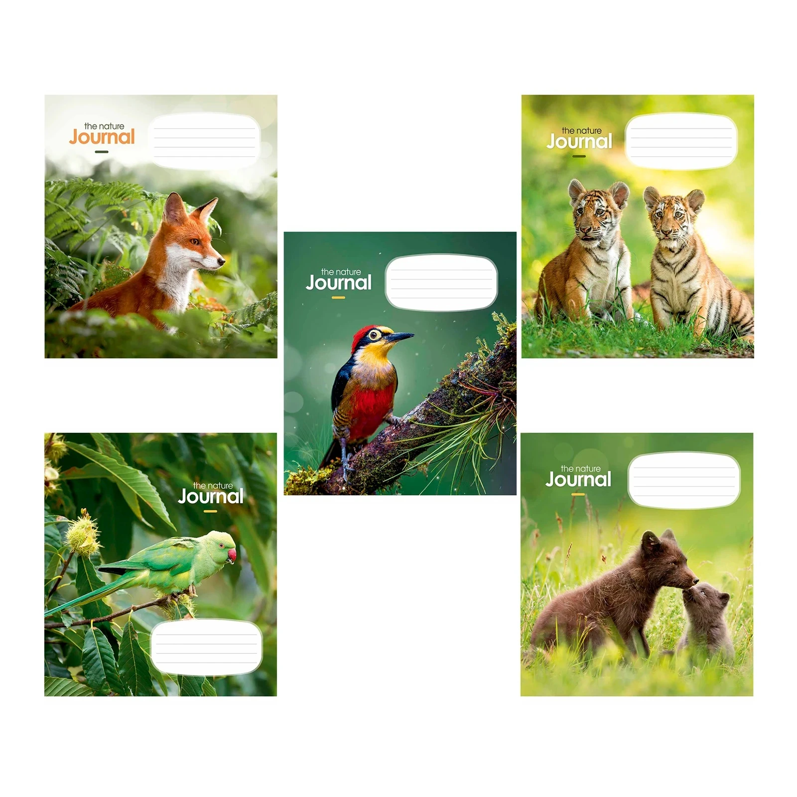 Зошит Школярик 12 арк. лінія Фото №:1