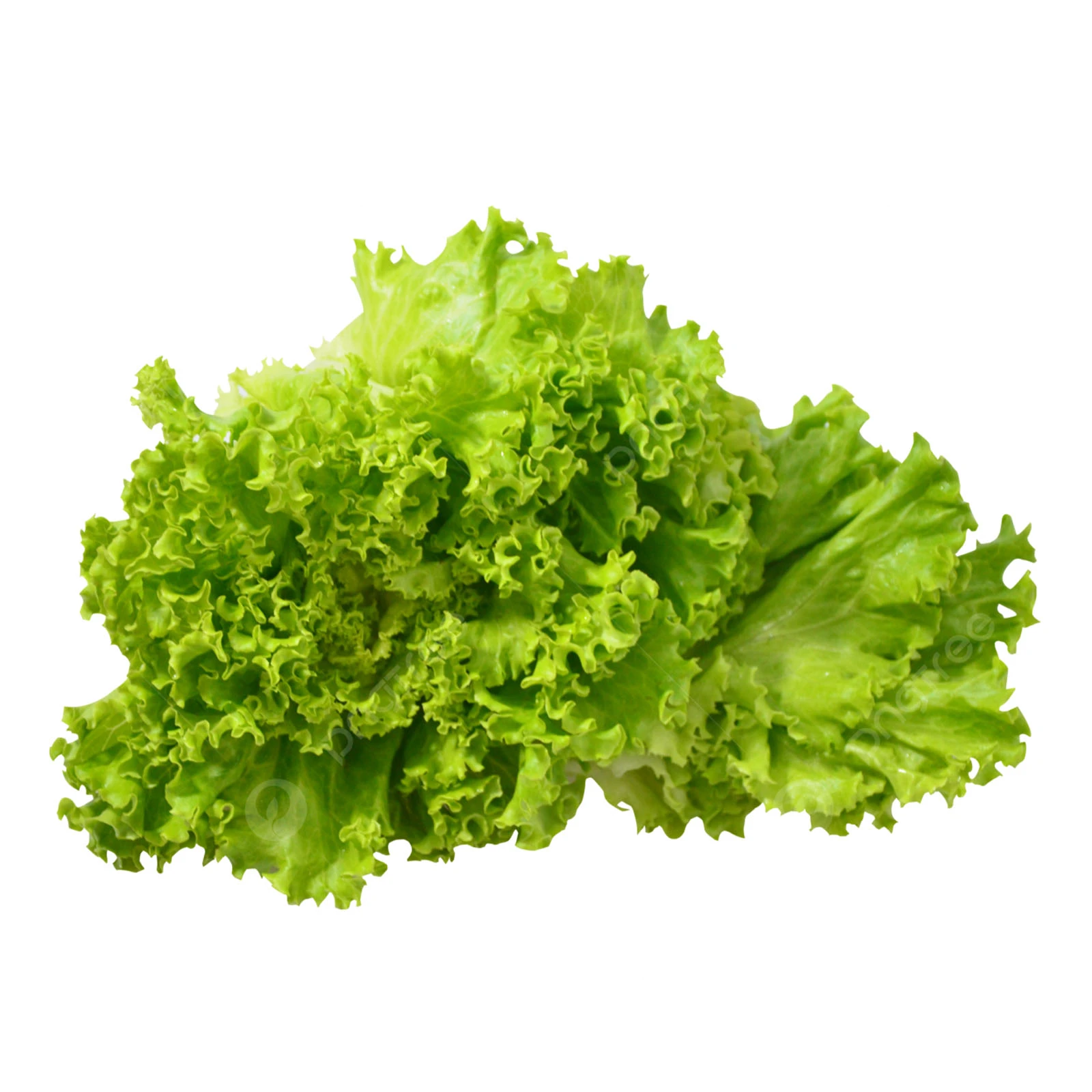 Листя салату свіже 40г Фото №:1