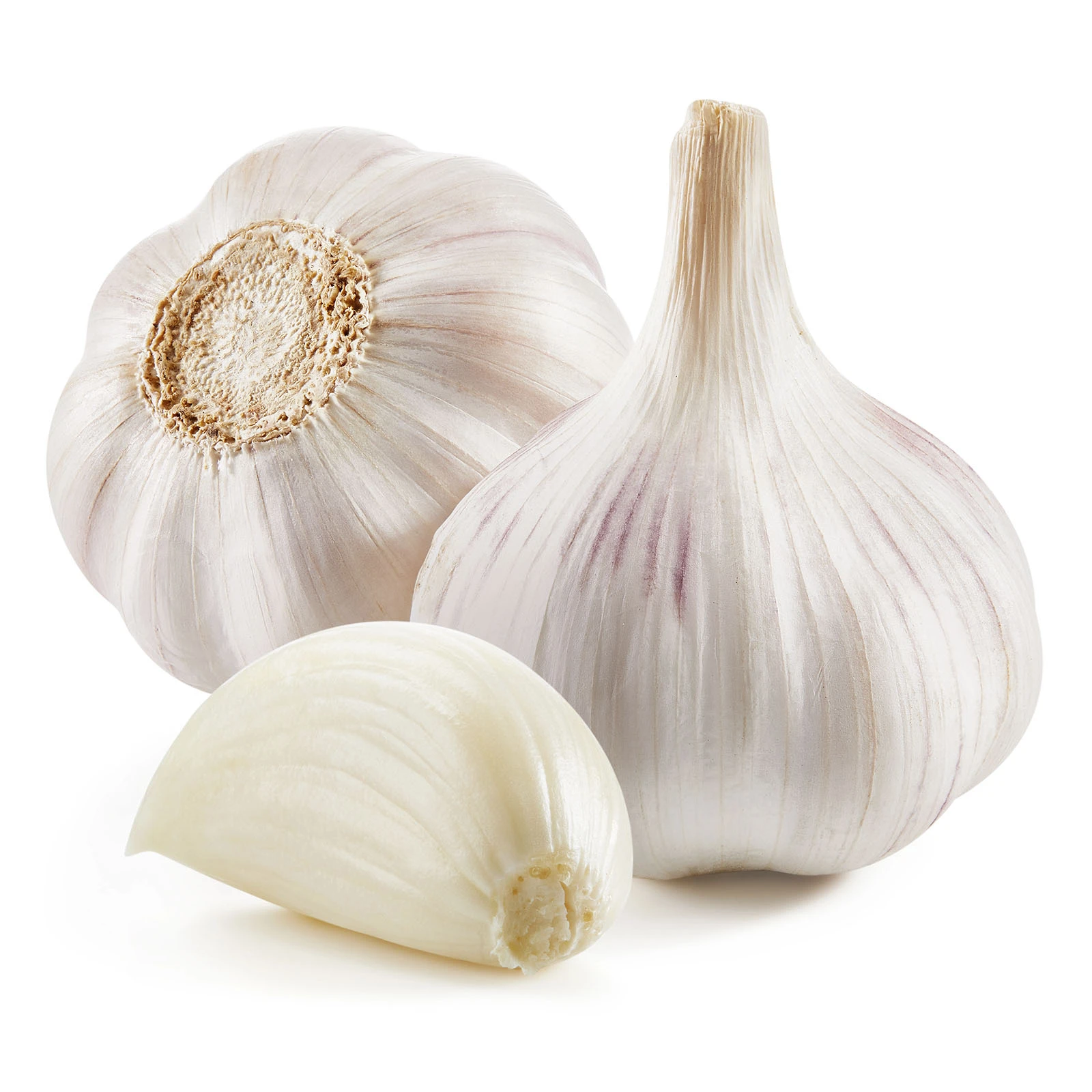 Часник Фото №:1