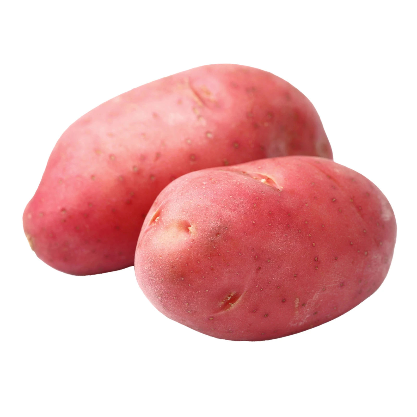 Картопля рожева Фото №:1