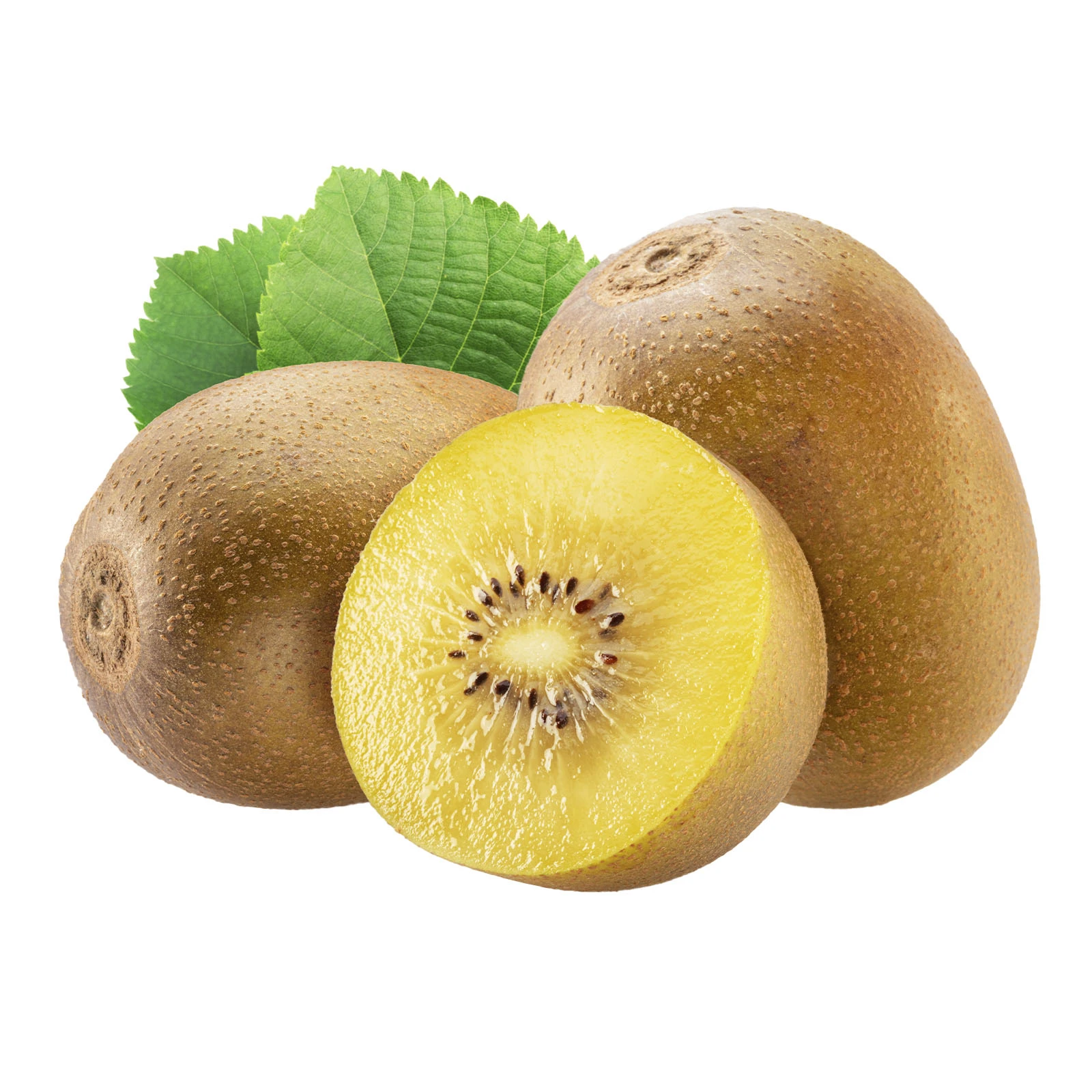 Ківі GOLD Фото №:1