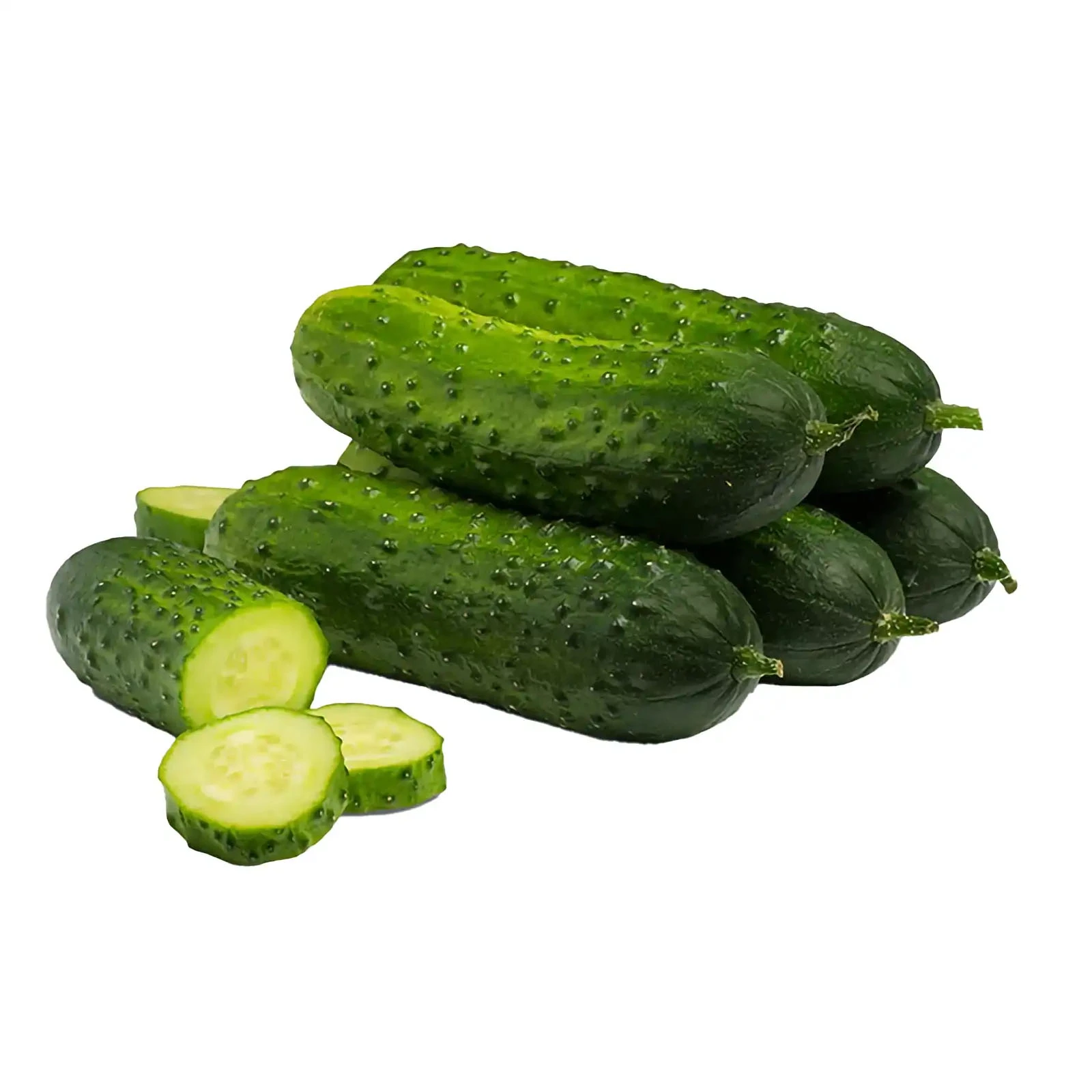 Огiрок колючий  Україна Фото №:1