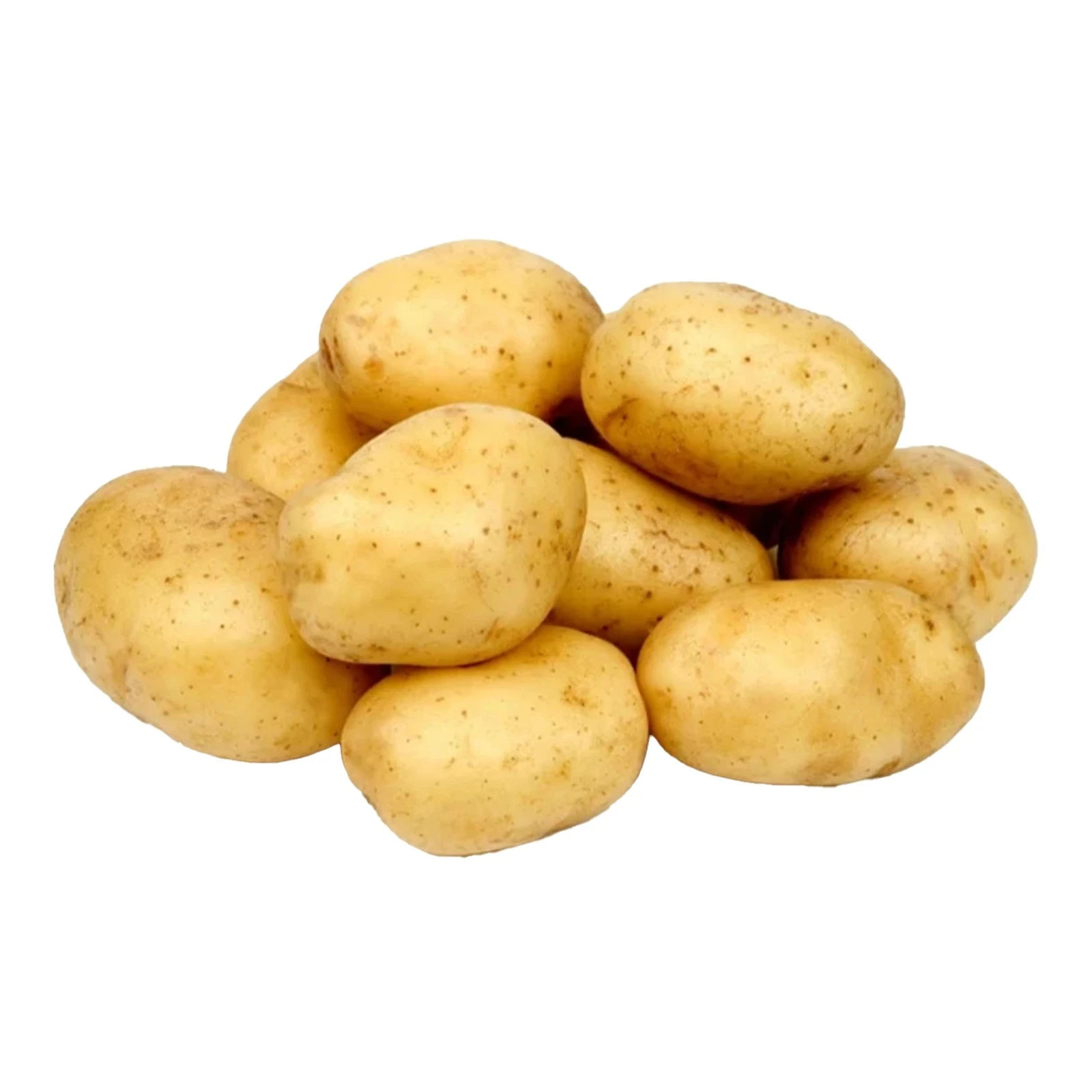 Картопля біла