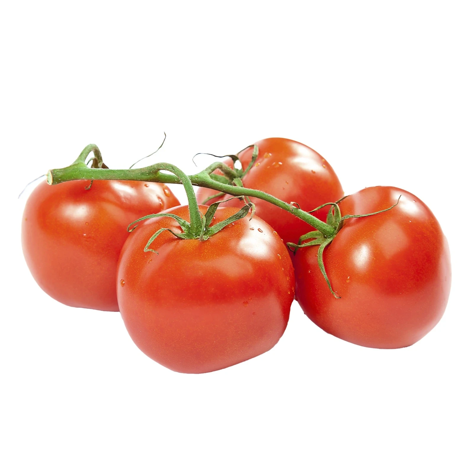 Помідори на гілці Фото №:1