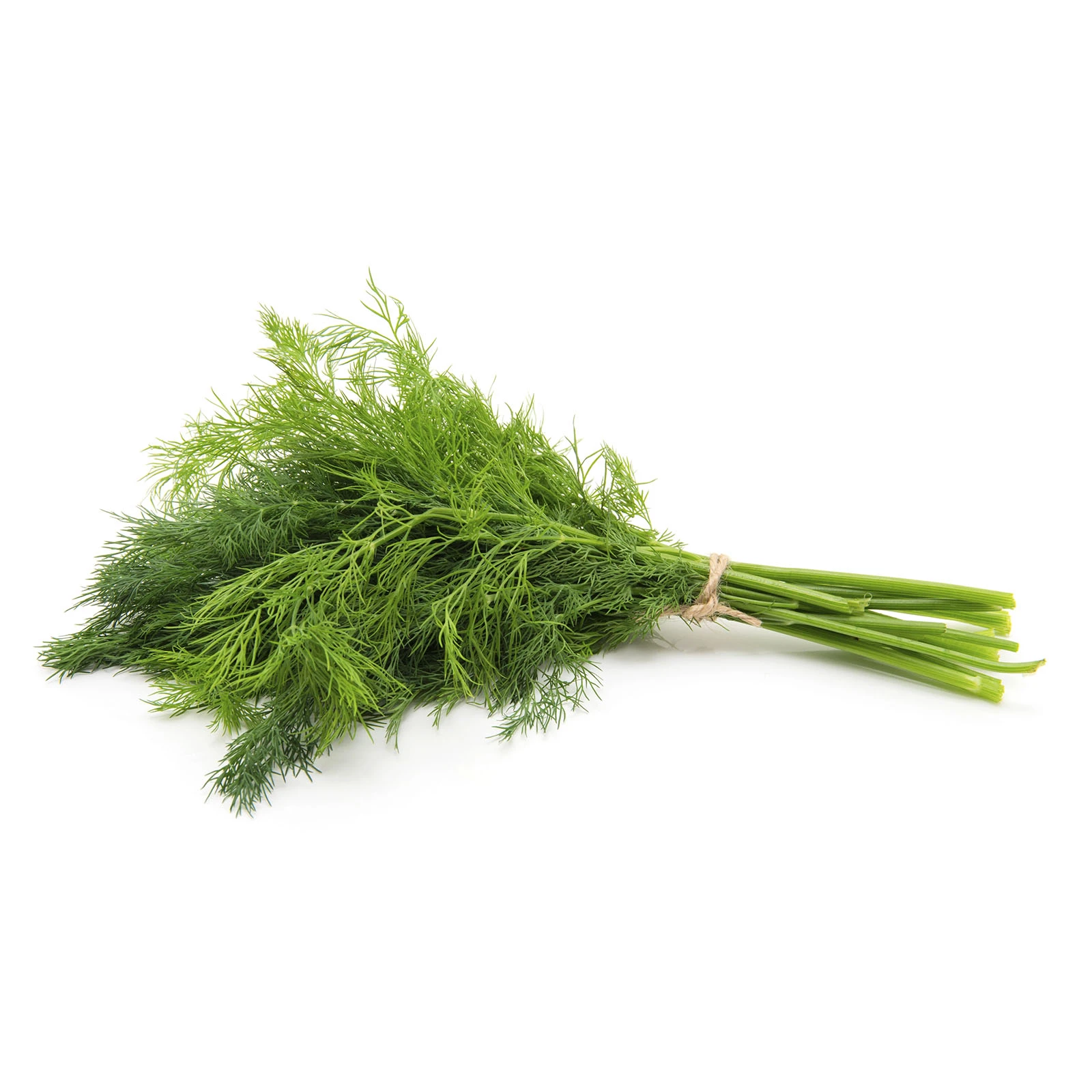 Кріп свіжий 30г Фото №:1