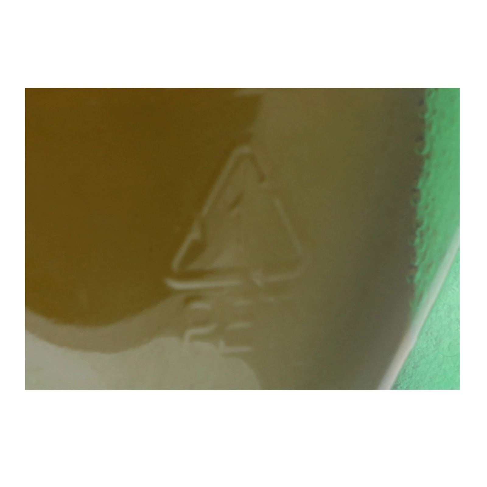 Пиво Чайка Дніпровська Фірмове світле фільтроване пастеризоване 4.3% 2л Фото №:3