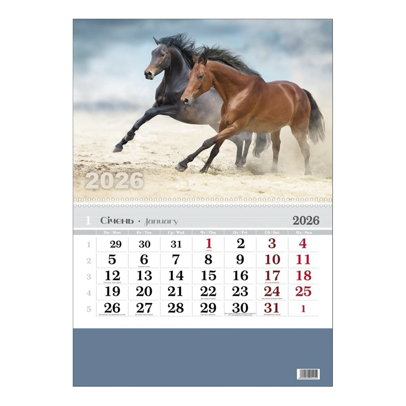 Календар одинарний 2025 Фото №:1
