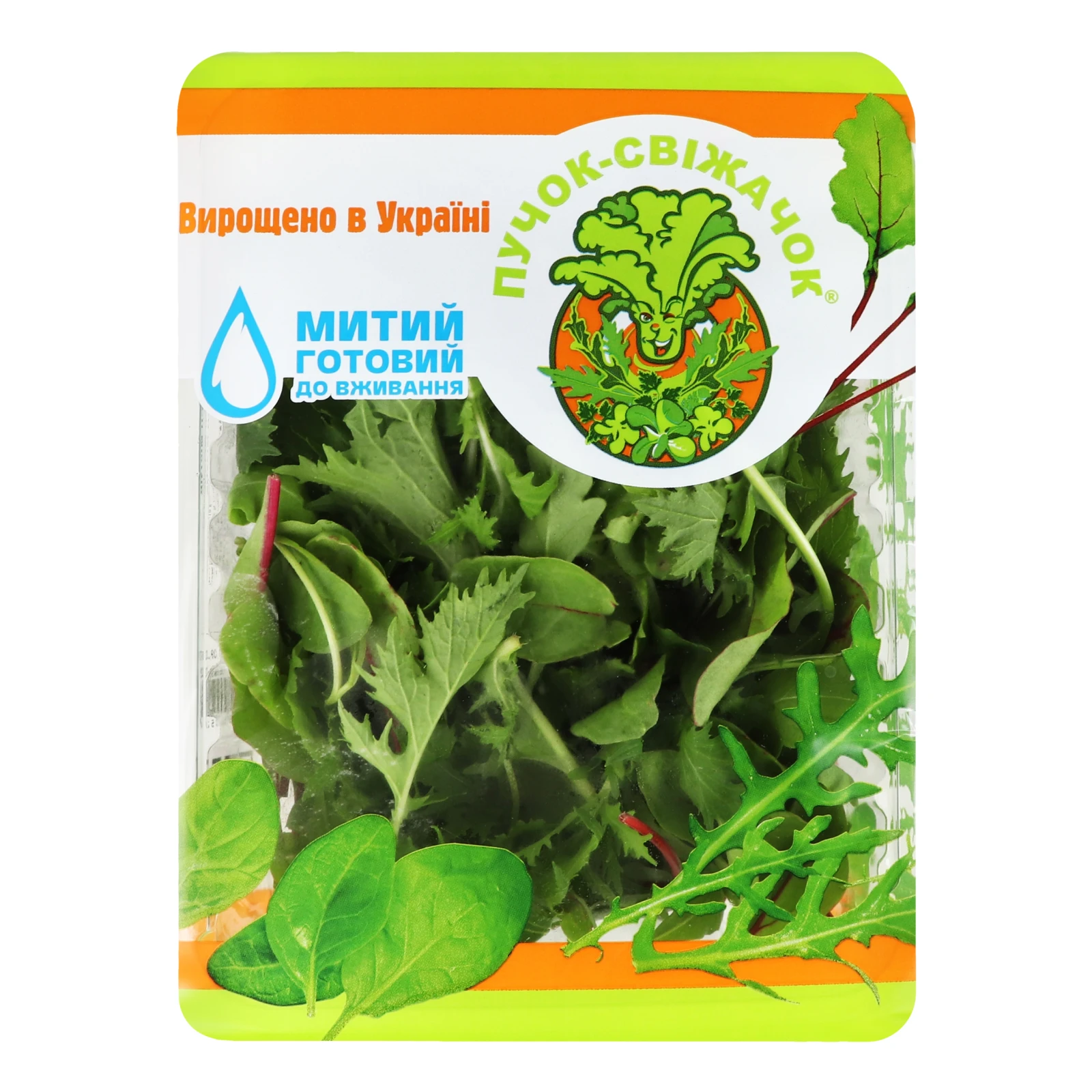 Салат Пучок-Свіжачок Рукола-мангольд-мізуна 75г Фото №:1